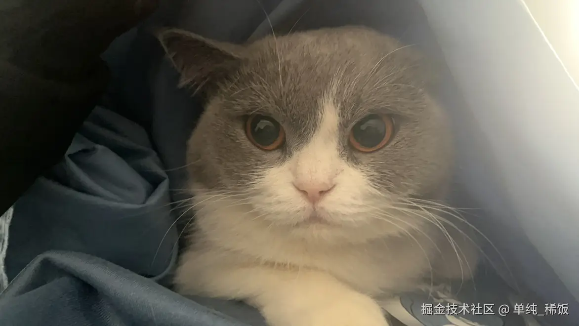 单纯_稀饭于2024-12-23 08:59发布的图片