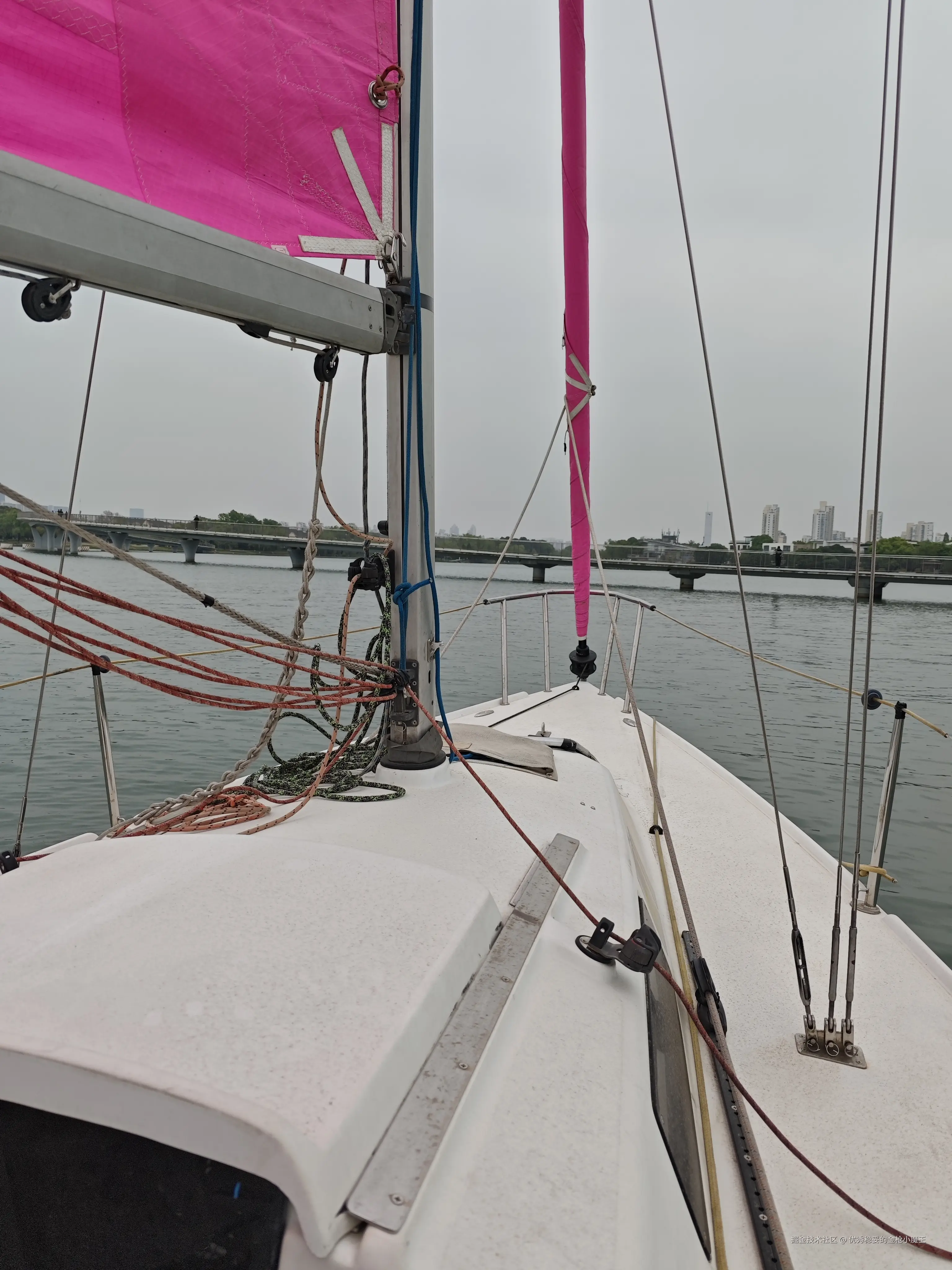 优秀稳妥的金枪小魔王于2025-04-16 15:05发布的图片