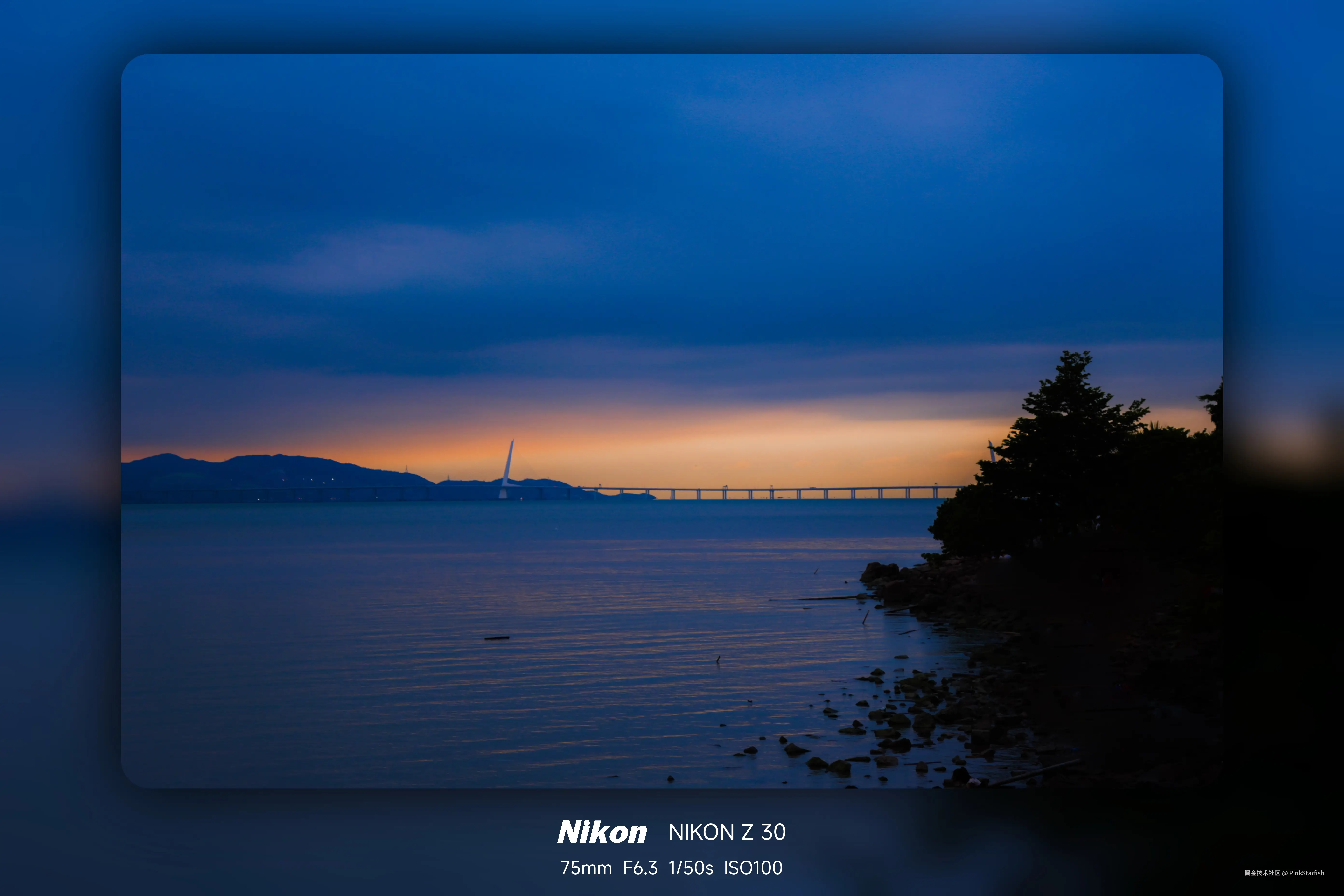 PinkStarfish于2025-05-27 11:45发布的图片