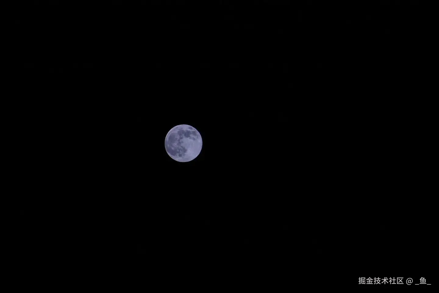 _鱼_于2025-11-19 17:27发布的图片