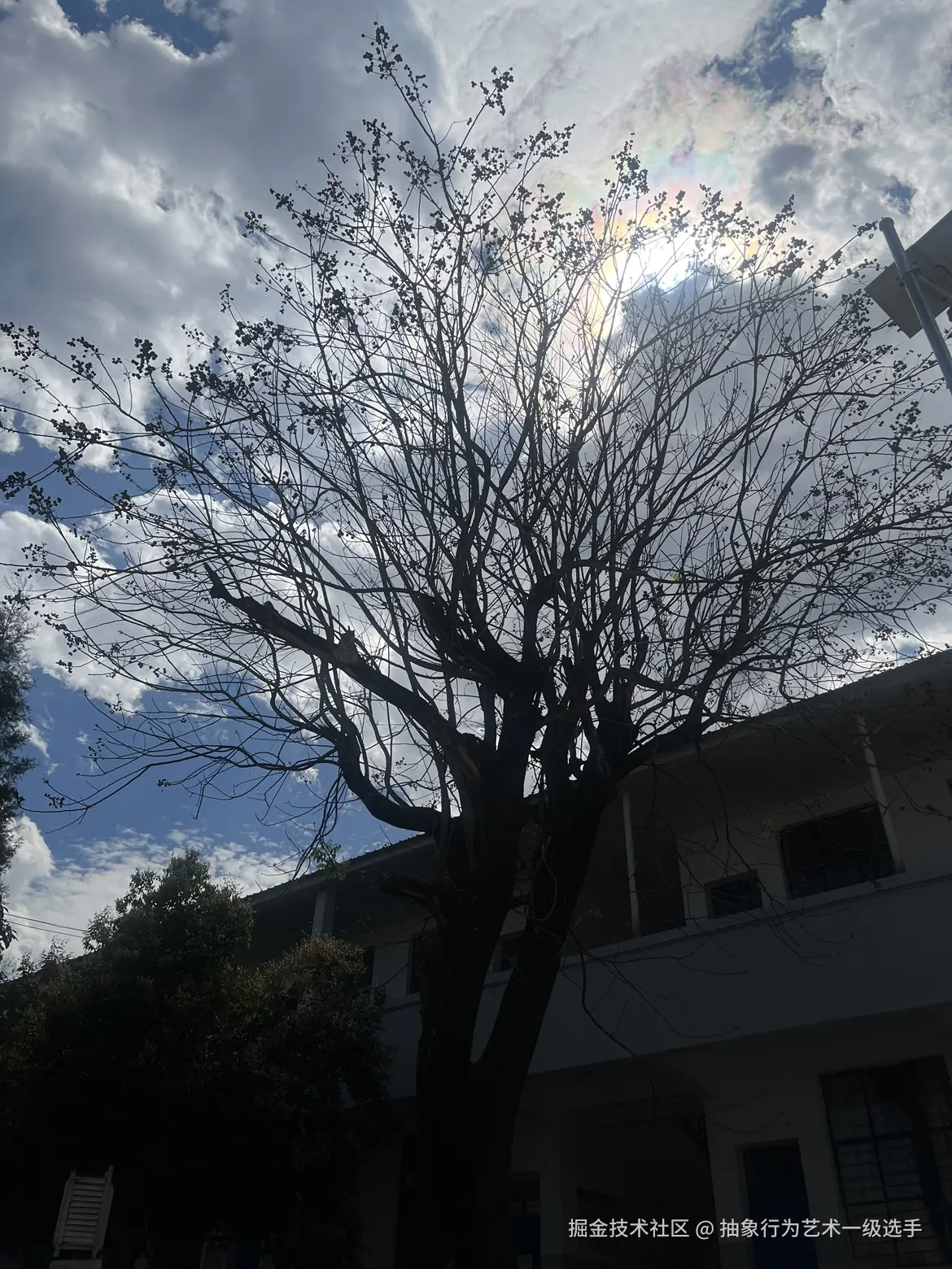 抽象行为艺术一级选手于2026-03-03 13:59发布的图片