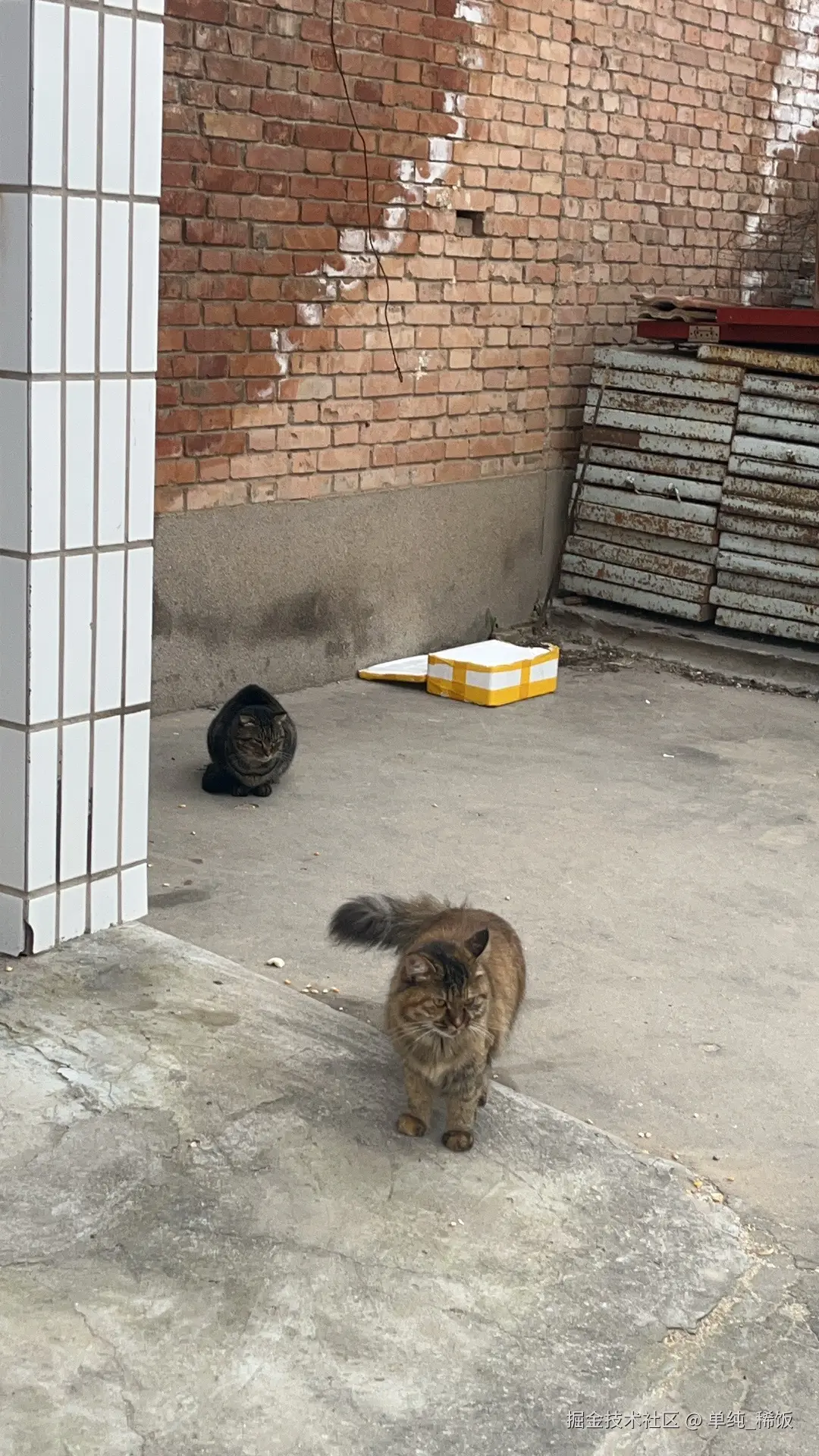 单纯_稀饭于2025-11-05 00:44发布的图片