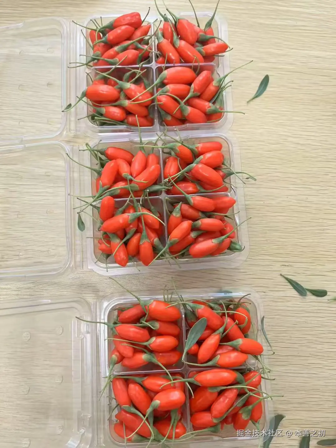 本善之初于2025-06-13 16:10发布的图片