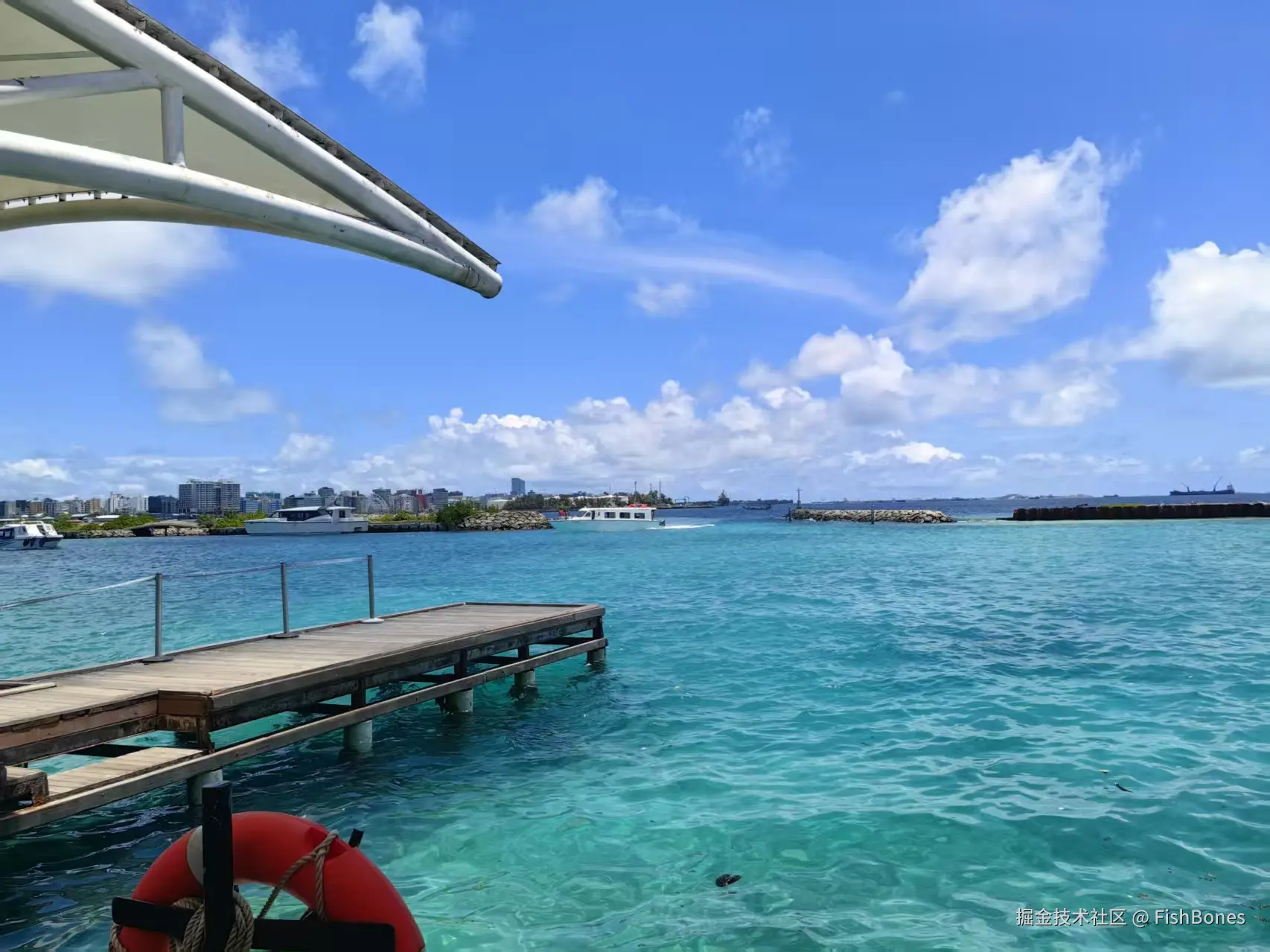 FishBones于2025-10-09 07:46发布的图片