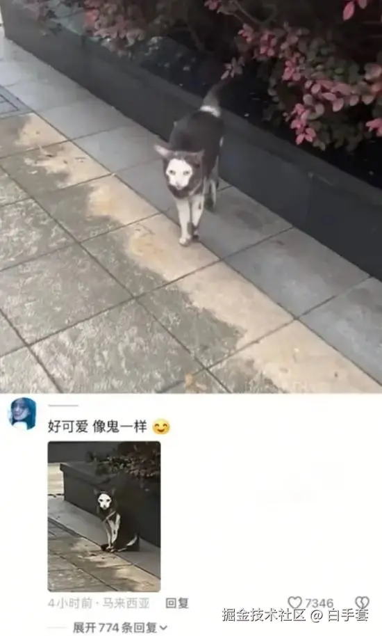 白手套于2025-07-08 11:00发布的图片