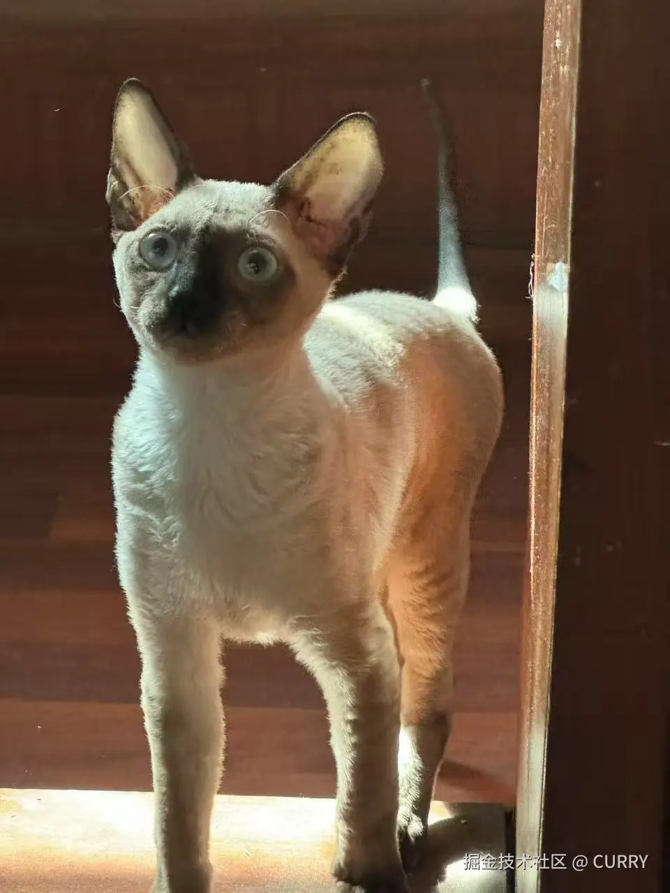 CURRY于2025-08-28 08:57发布的图片