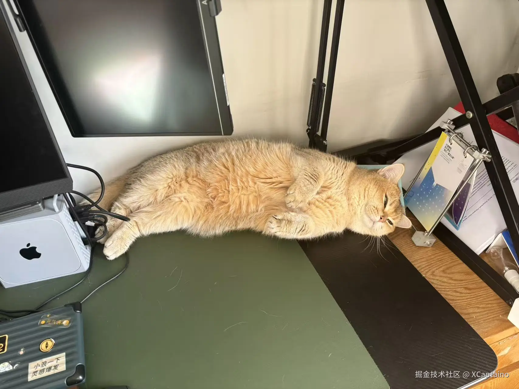 XCaptaino于2026-01-26 13:47发布的图片