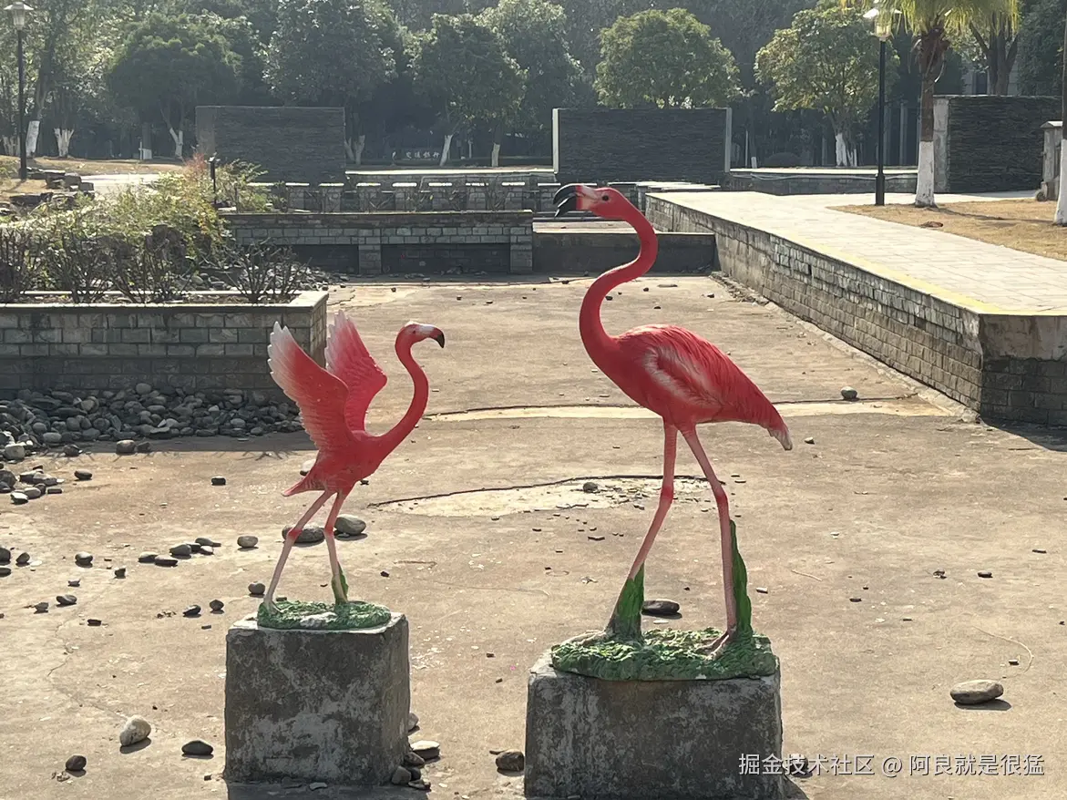 阿良就是很猛于2026-01-12 14:26发布的图片