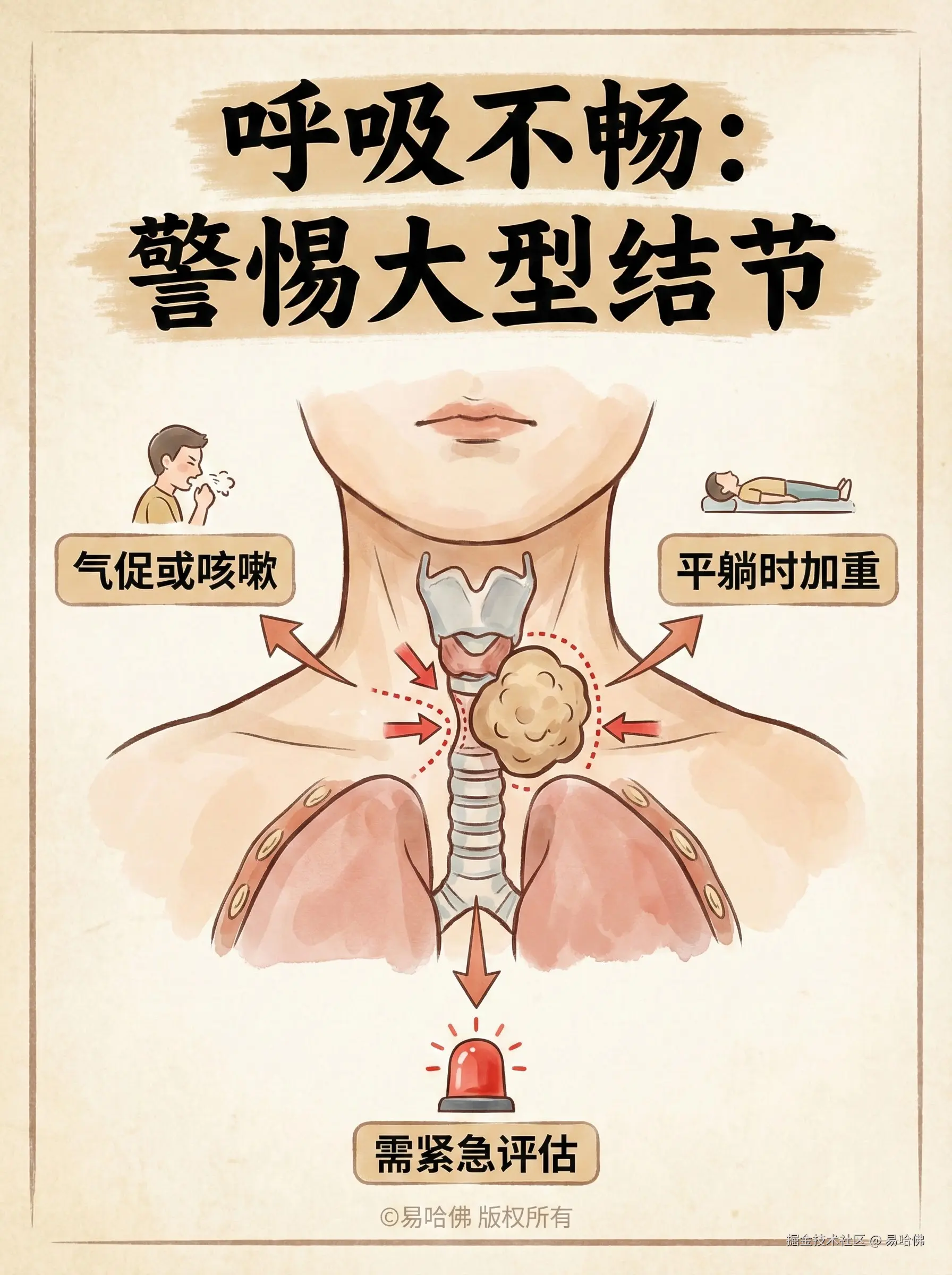 易哈佛于2026-01-05 14:38发布的图片