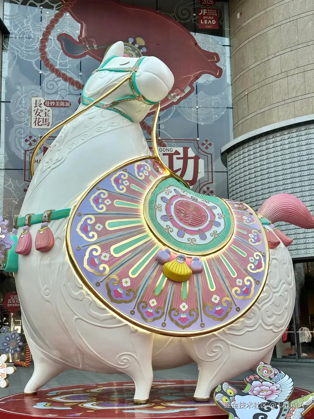 LALALA于2026-02-04 10:30发布的图片