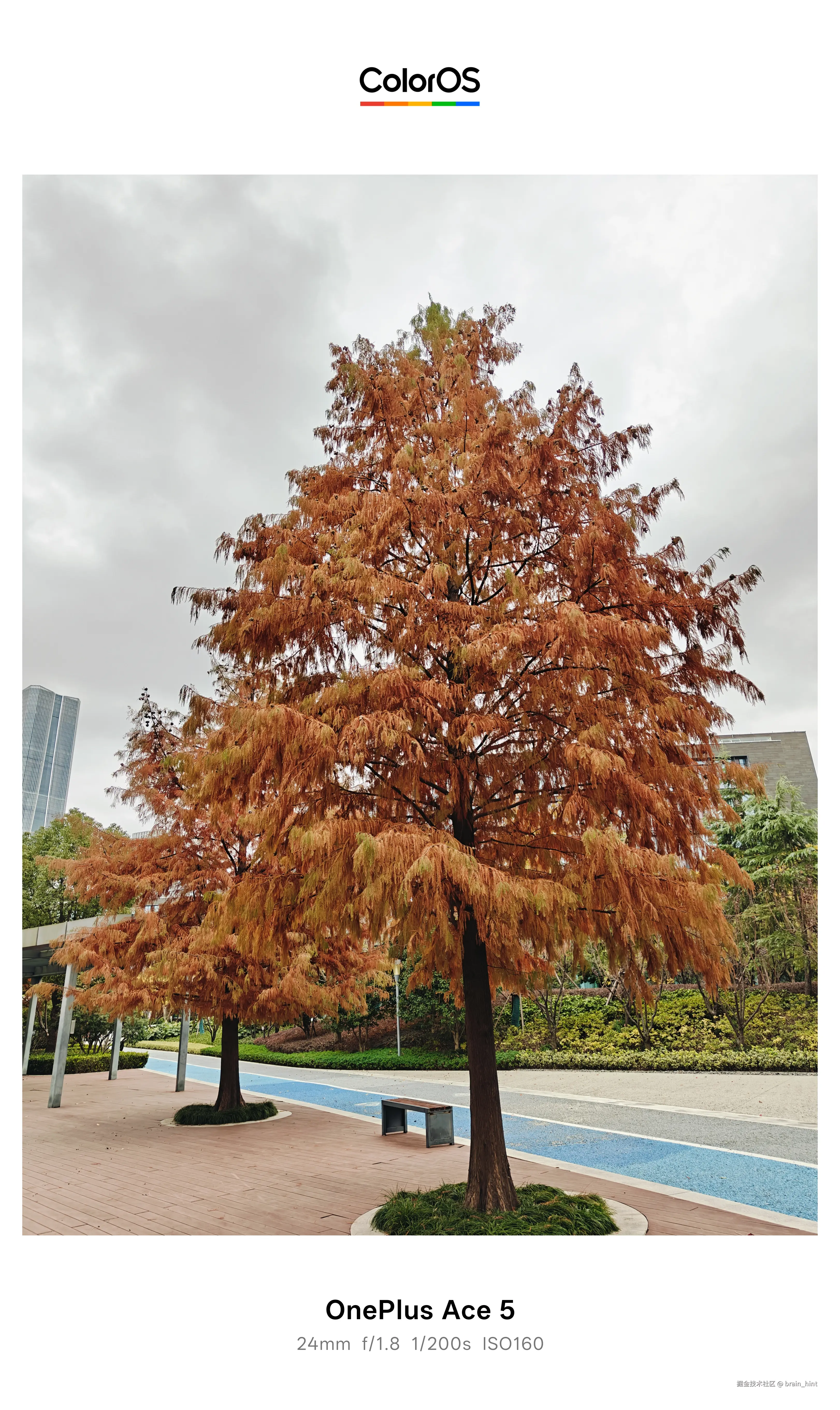 brain_hint于2025-12-02 13:23发布的图片