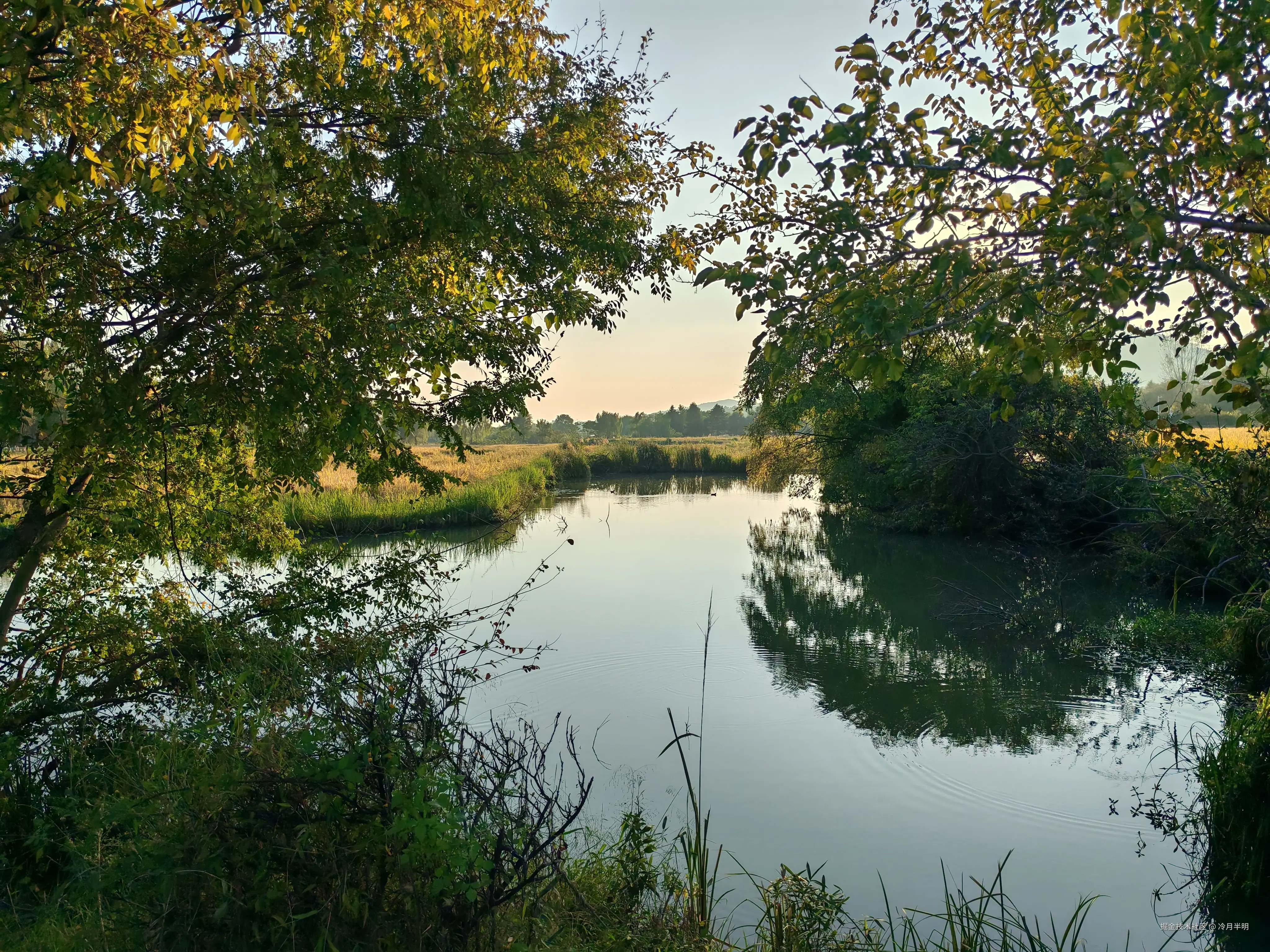 冷月半明于2024-10-24 10:21发布的图片