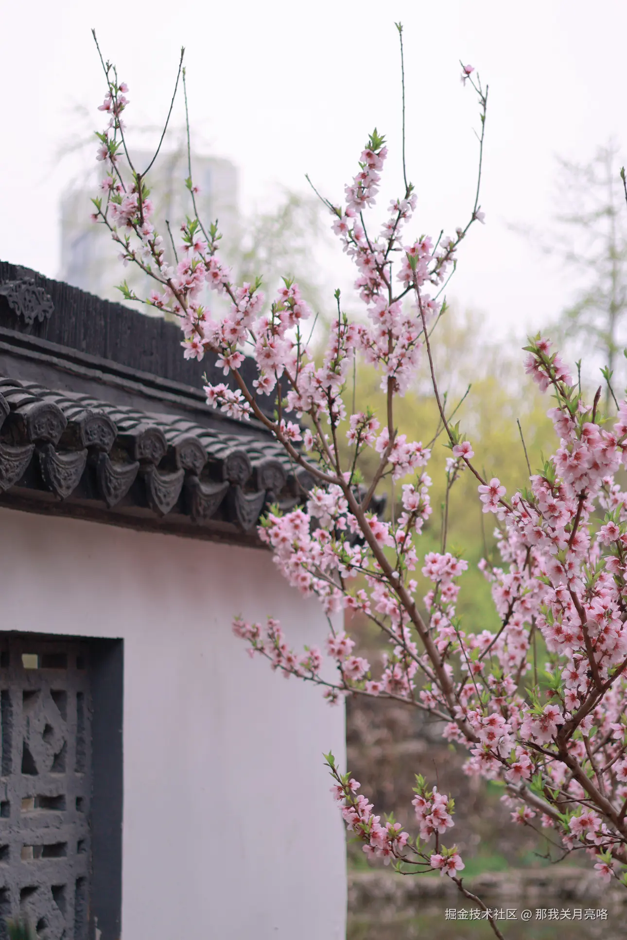 那我关月亮咯于2025-03-31 14:28发布的图片