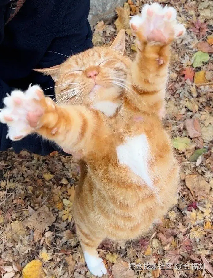 金福刘于2025-07-01 17:09发布的图片