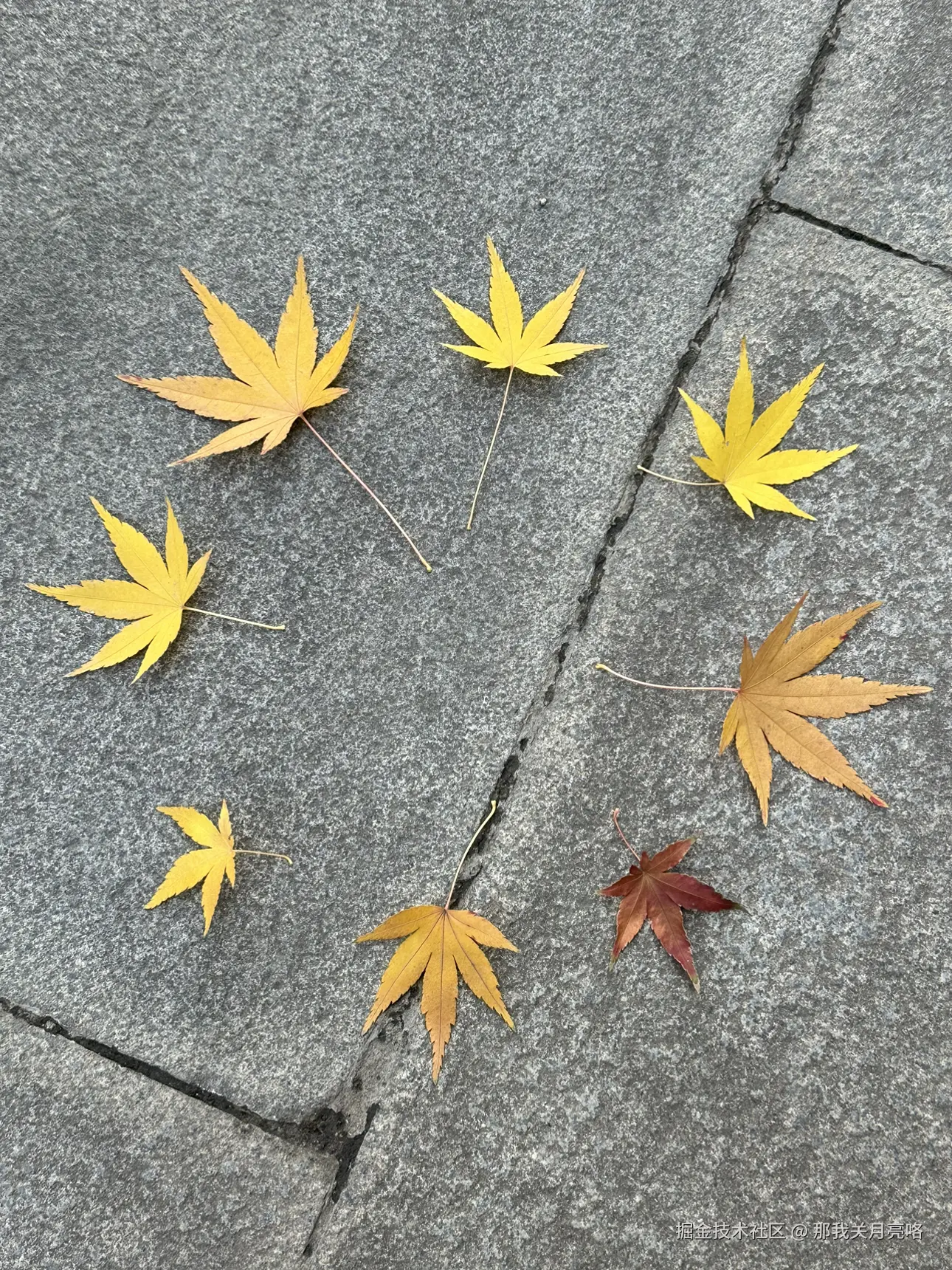 那我关月亮咯于2024-12-24 16:13发布的图片