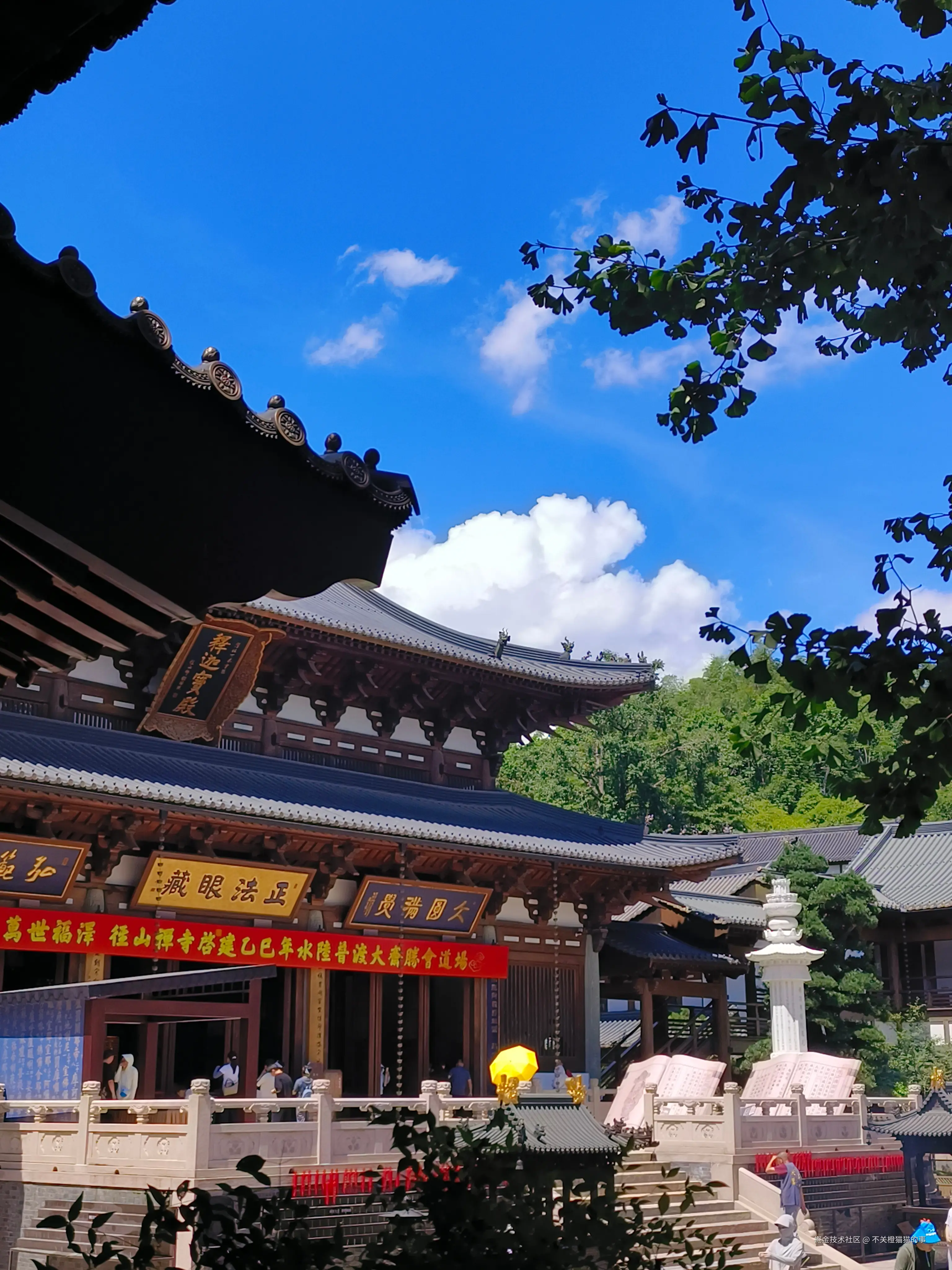 不关橙猫猫的事于2025-08-25 15:39发布的图片