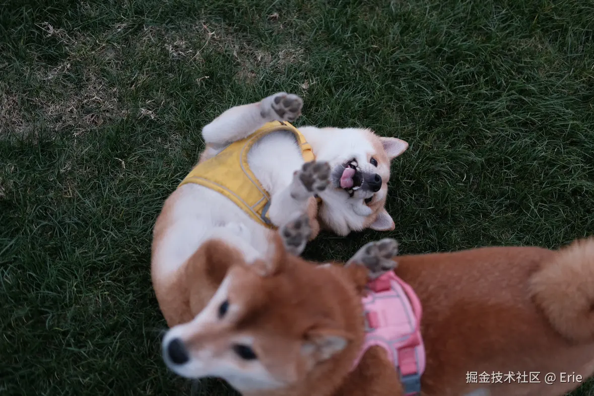 Erie于2024-12-24 10:18发布的图片