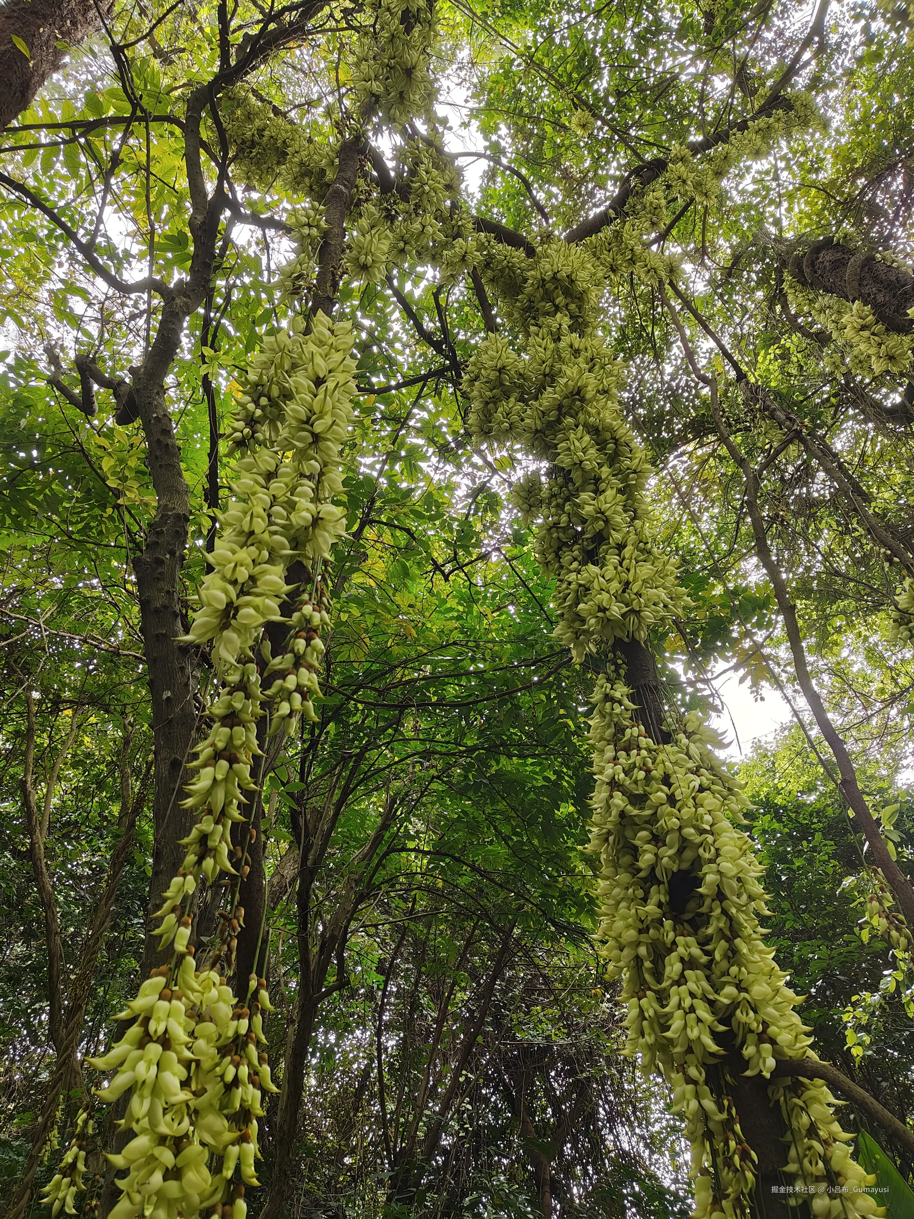 小吕布_Gumayusi于2025-03-10 09:53发布的图片