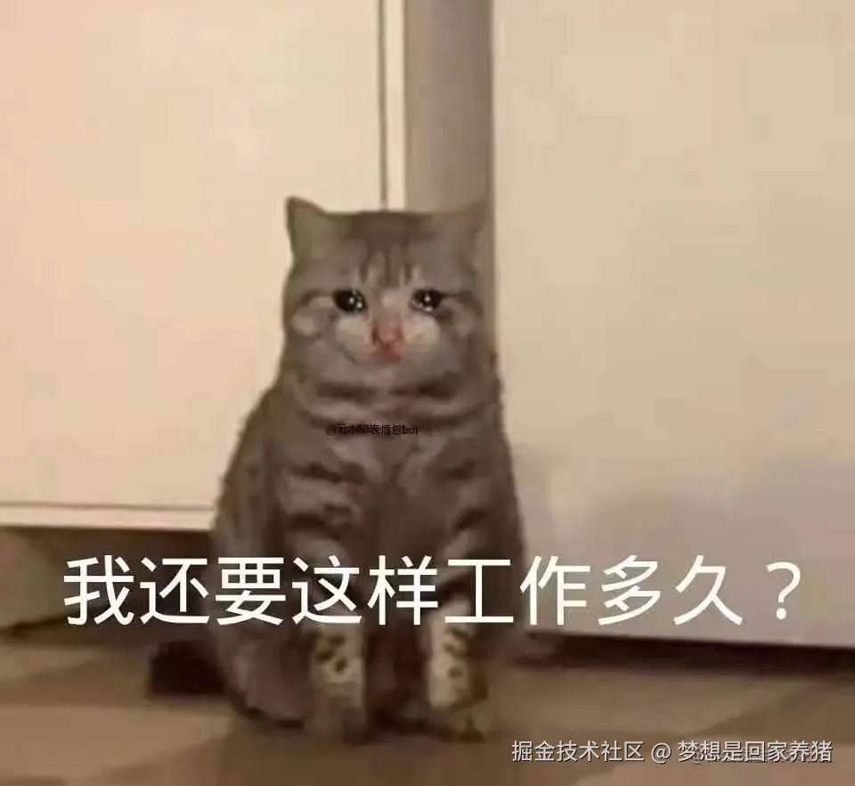 梦想是回家养猪于2025-11-10 15:05发布的图片