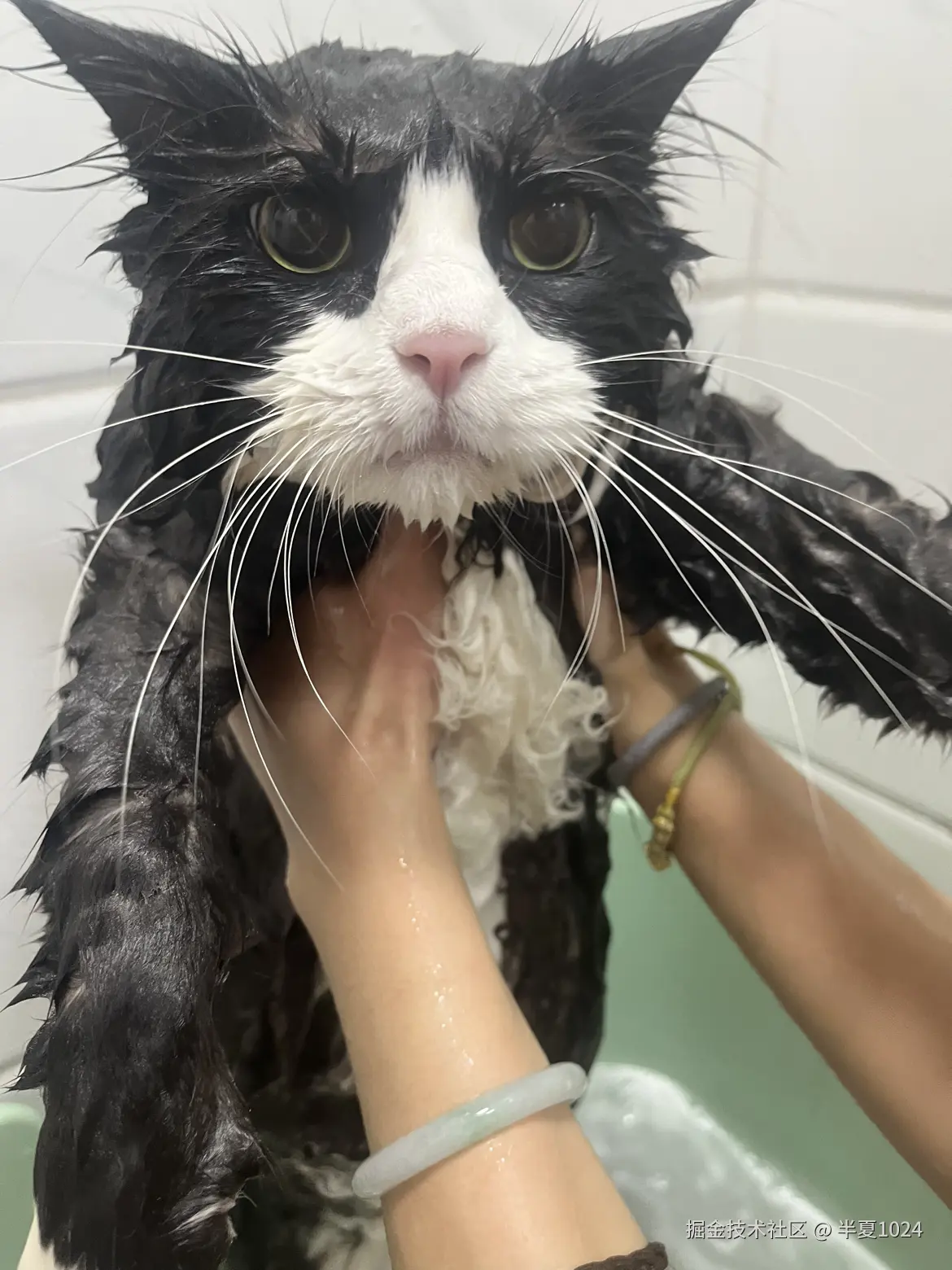 半夏1024于2025-01-22 14:35发布的图片