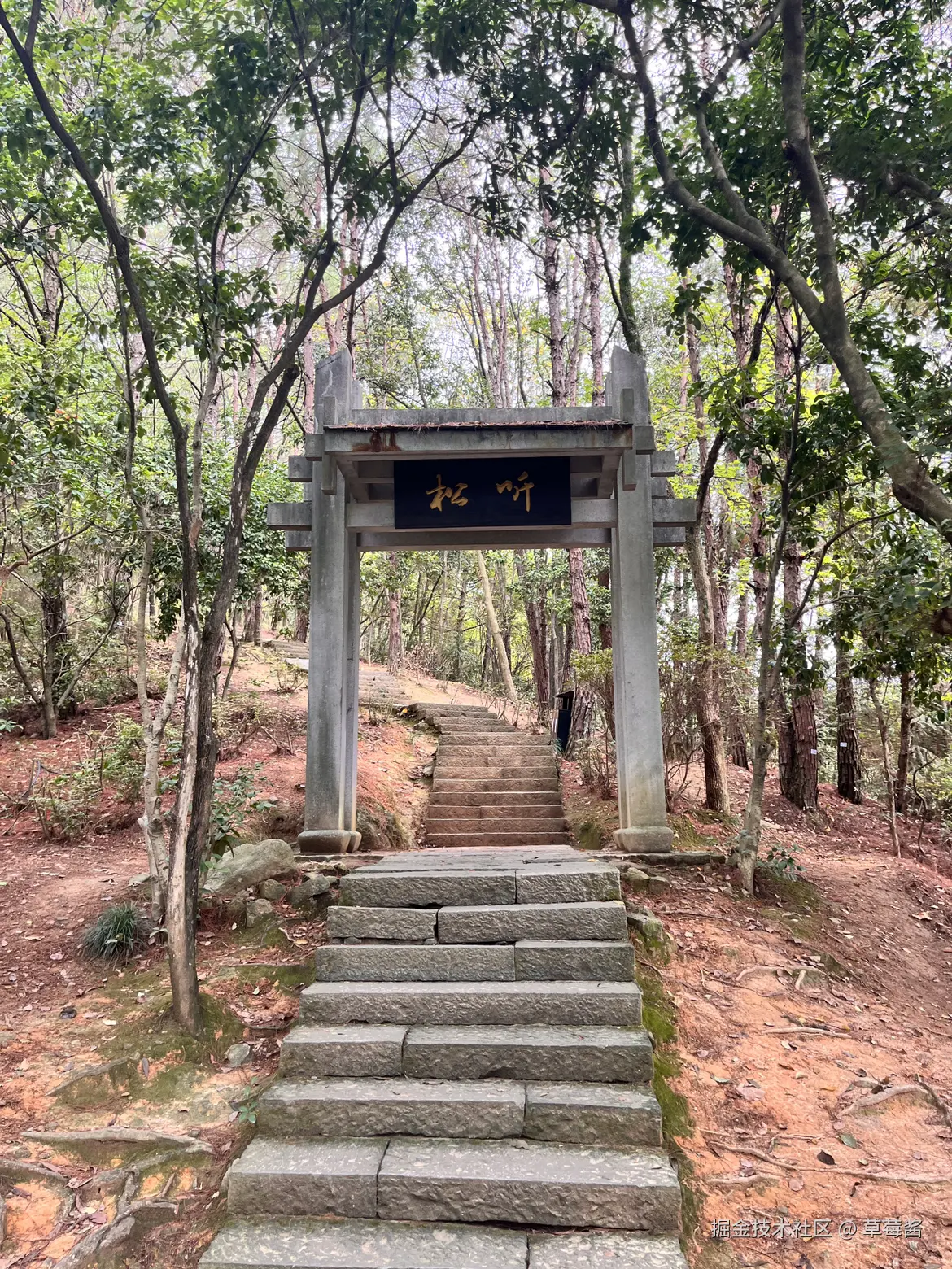 草莓酱于2024-10-18 12:25发布的图片