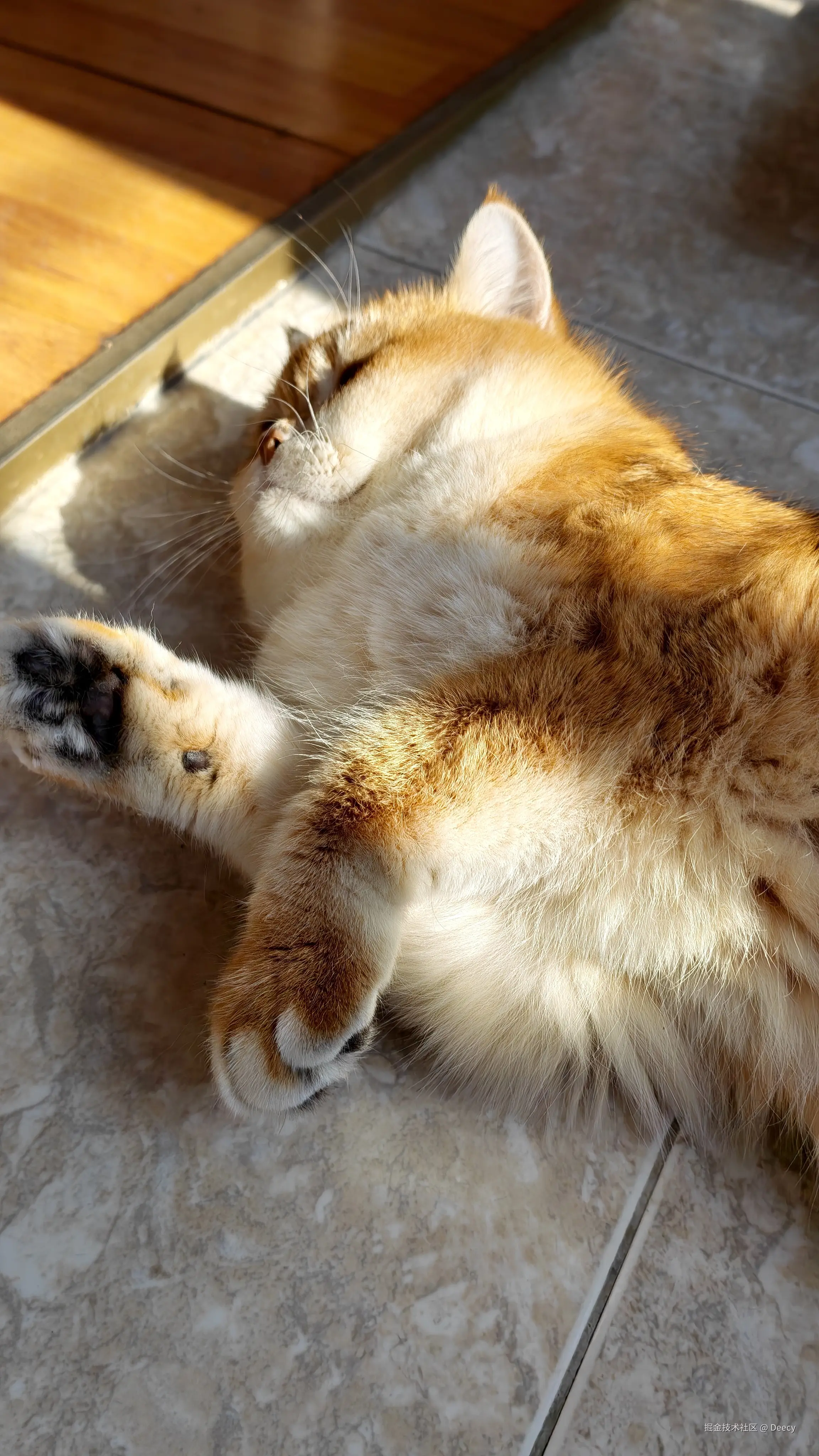 Deecy于2025-11-20 06:42发布的图片