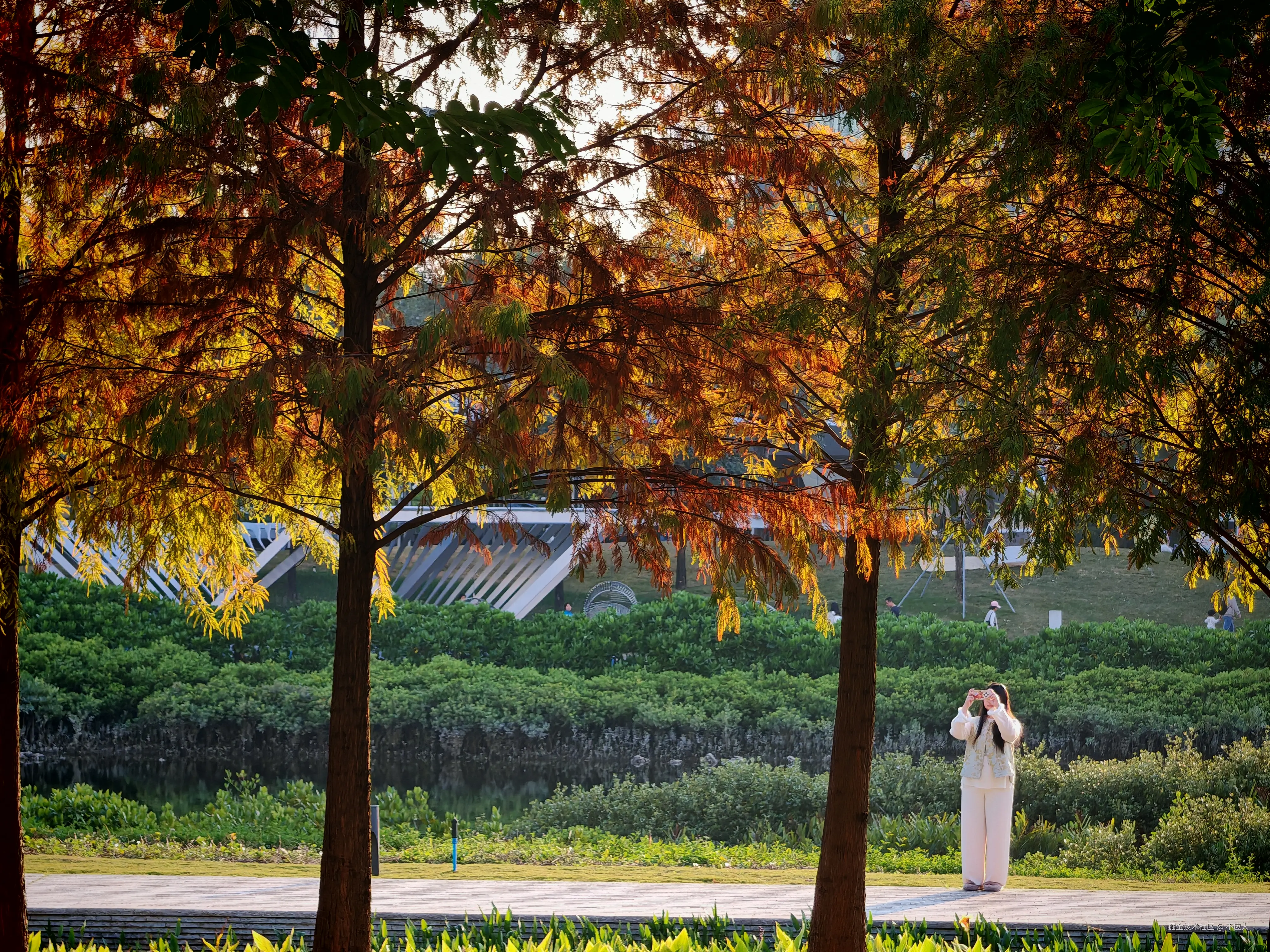 不应人于2026-01-18 19:26发布的图片