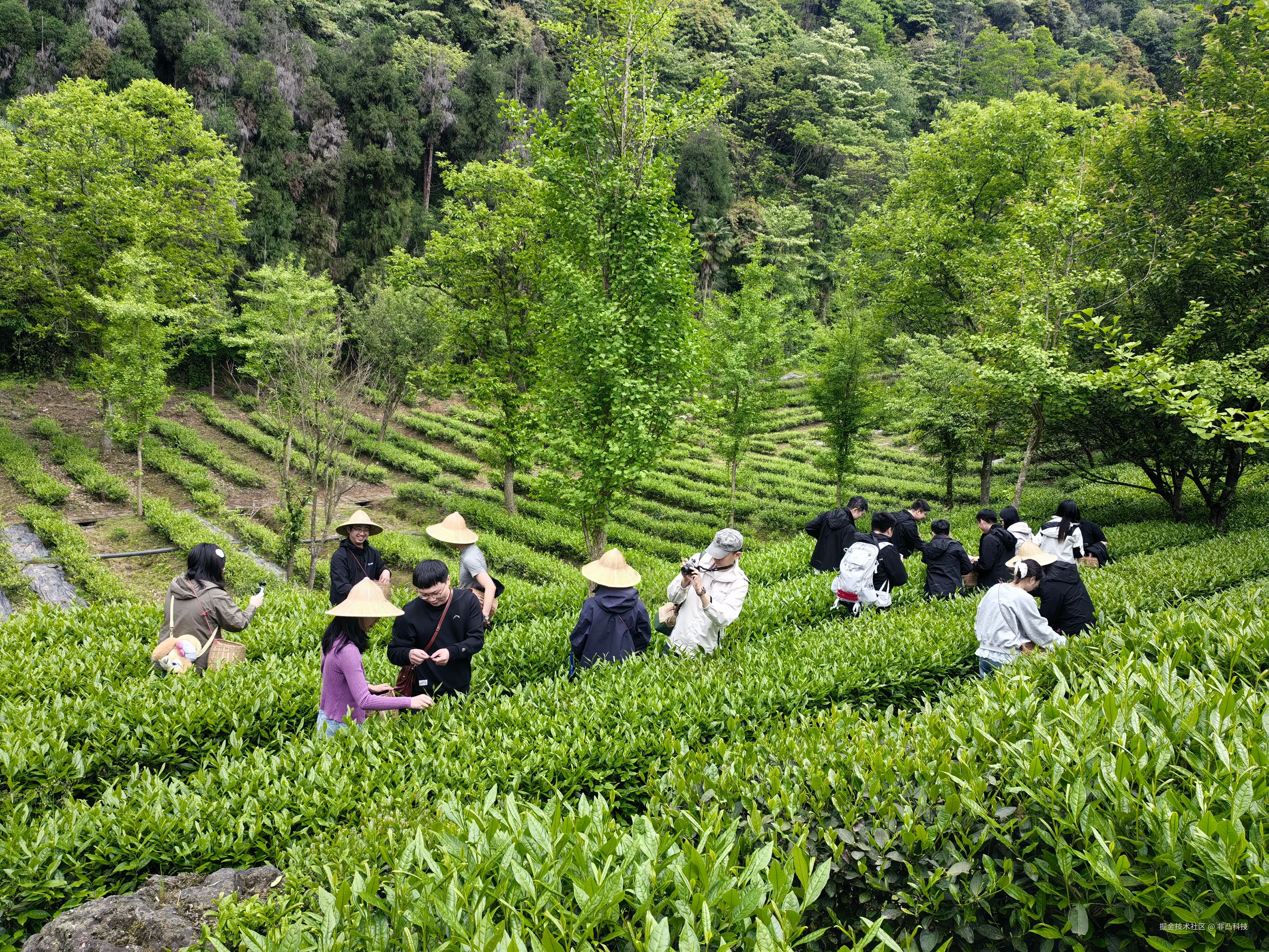 非凸科技于2025-04-30 13:08发布的图片