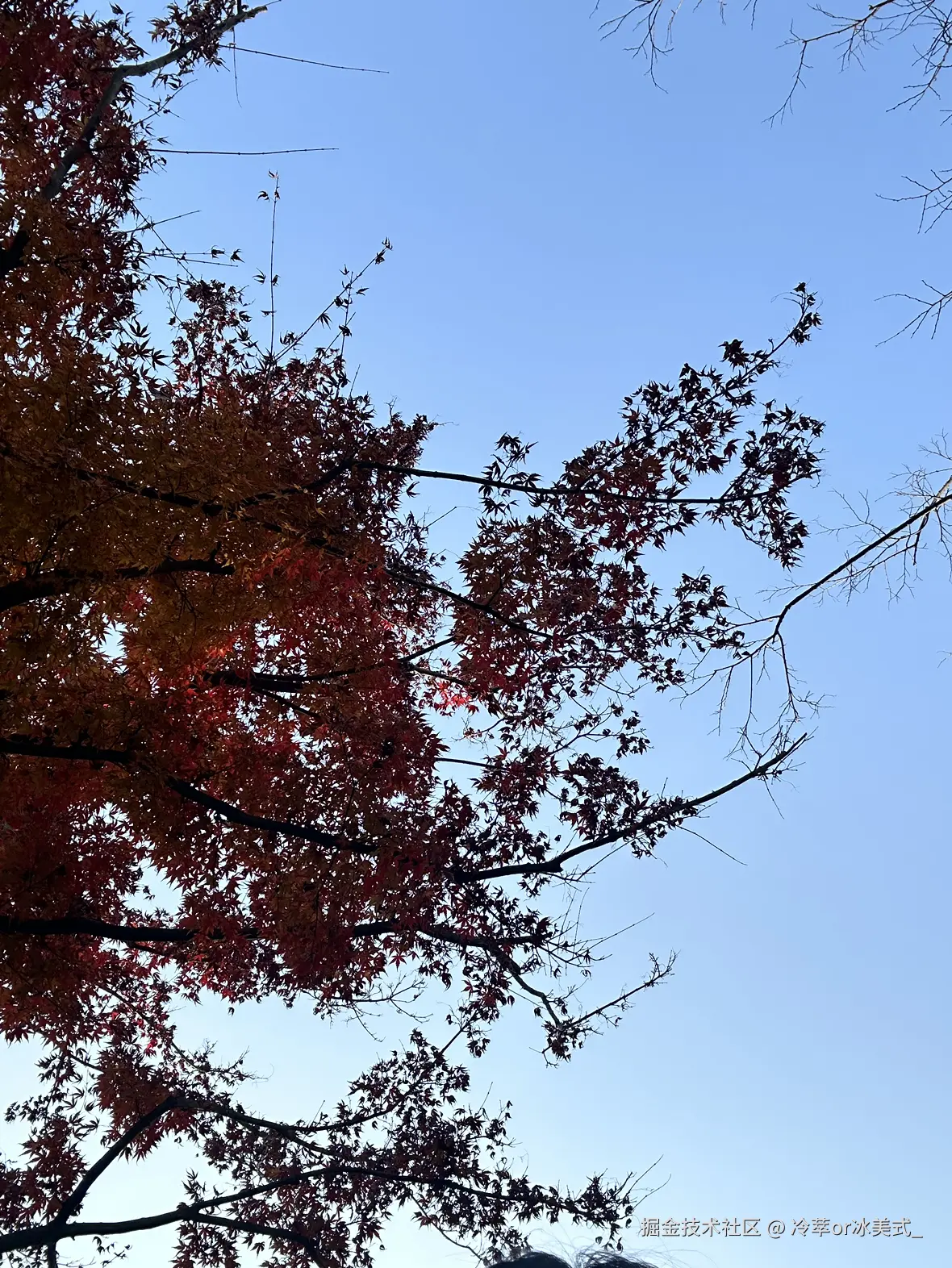 冷萃or冰美式_于2024-12-17 13:37发布的图片