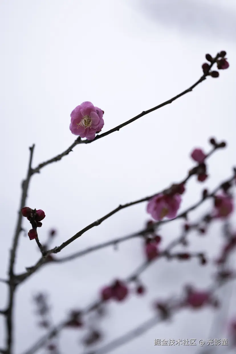 光影童于2026-01-21 11:03发布的图片