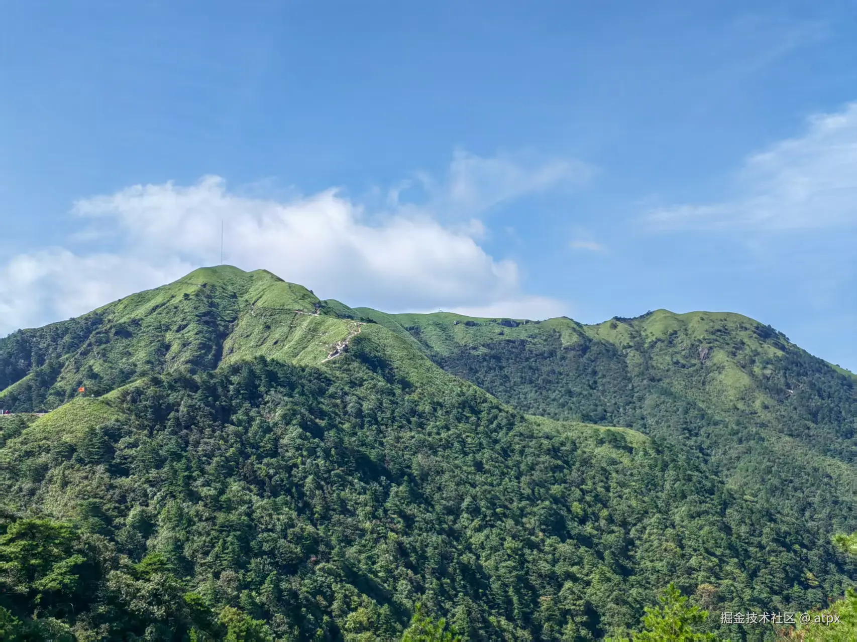 atpx于2025-08-11 10:06发布的图片