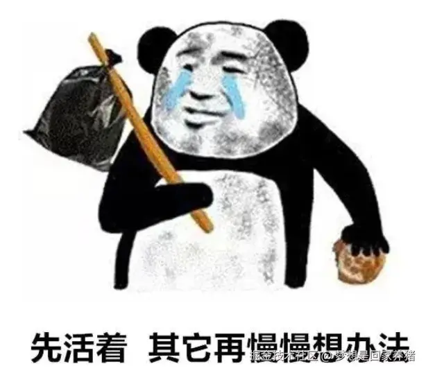 梦想是回家养猪于2025-11-26 10:59发布的图片