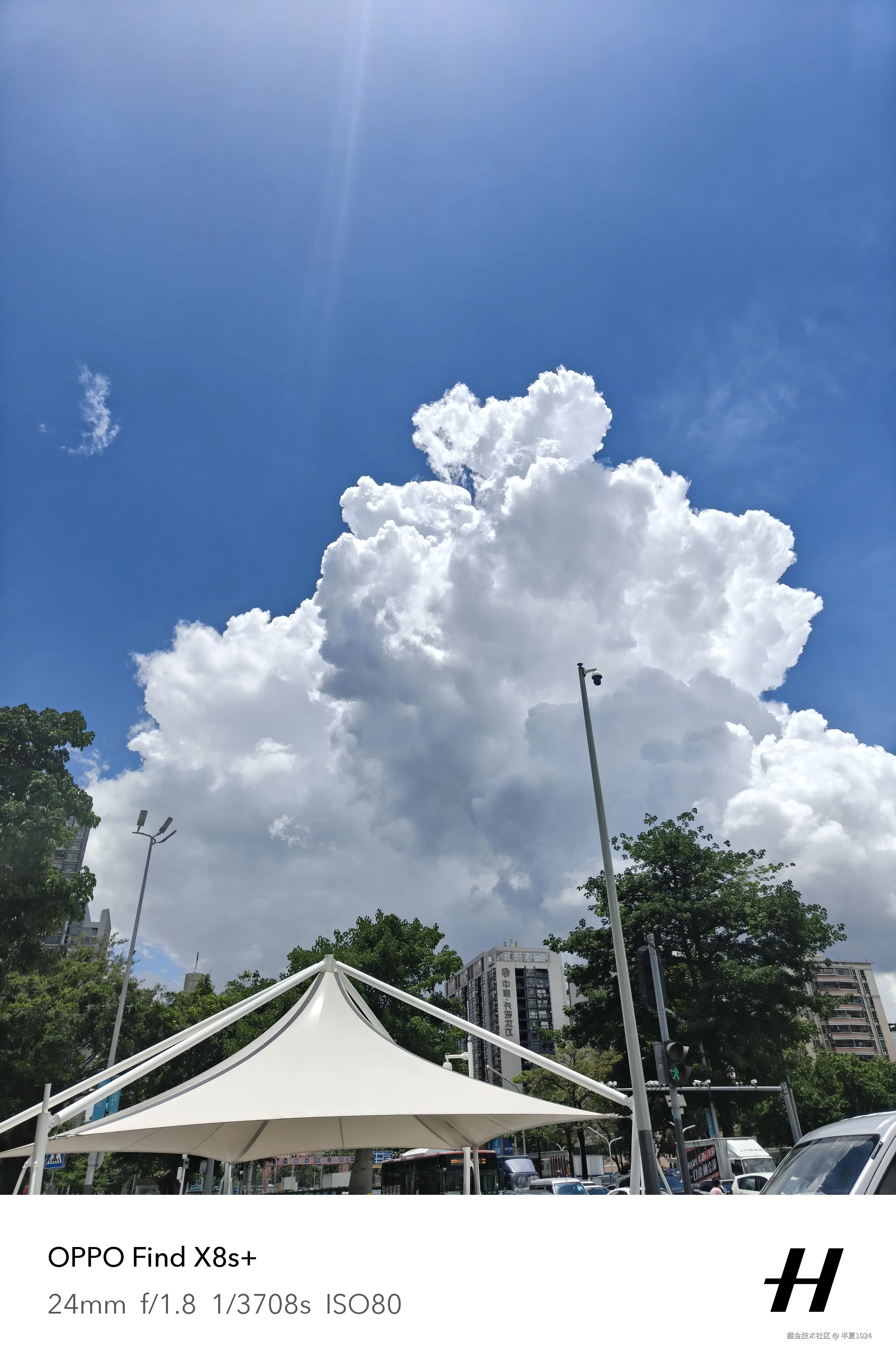 半夏1024于2025-07-02 15:38发布的图片