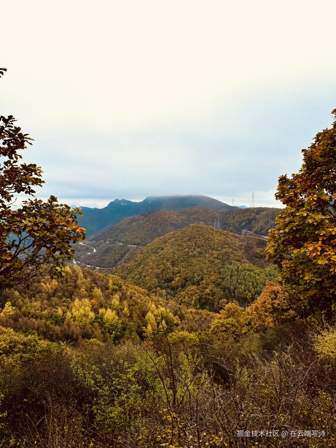 在云端写诗于2025-10-20 10:47发布的图片