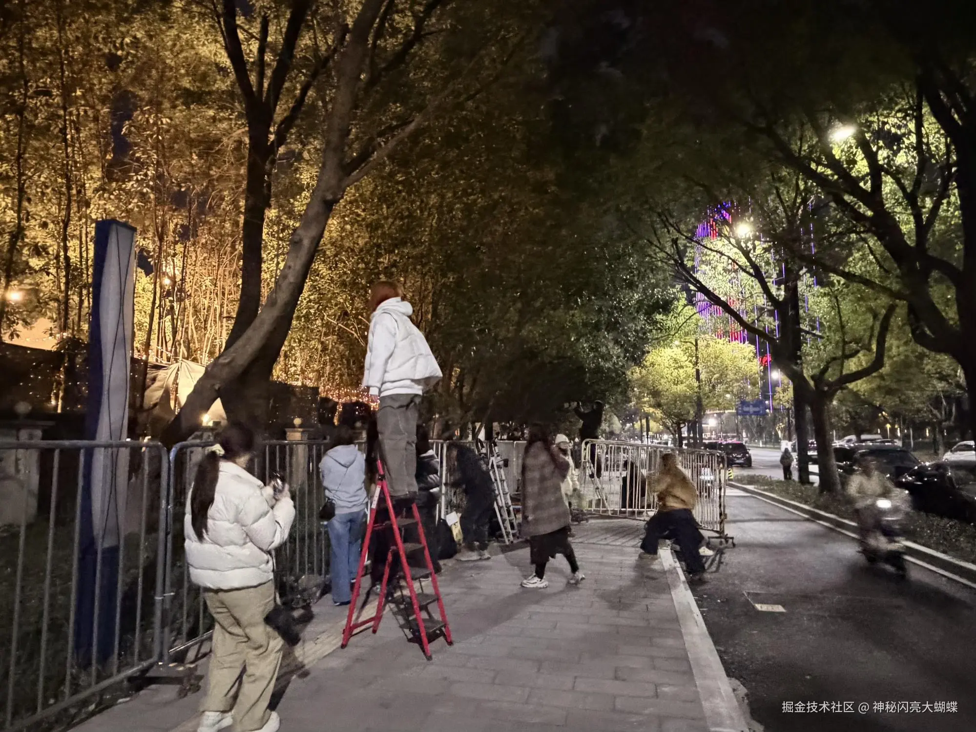 神秘闪亮大蝴蝶于2026-03-19 13:51发布的图片