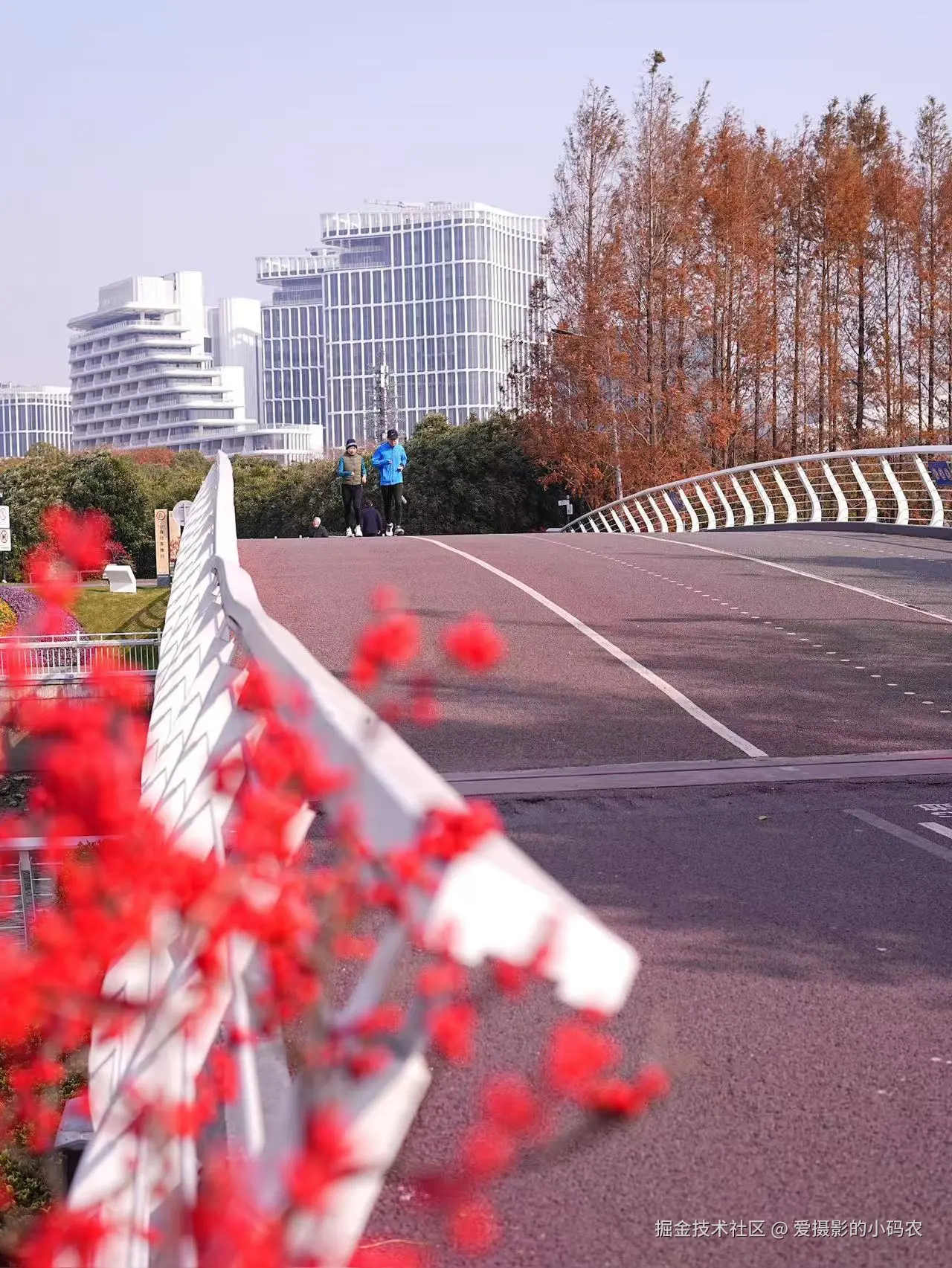 爱摄影的小码农于2024-12-24 09:54发布的图片