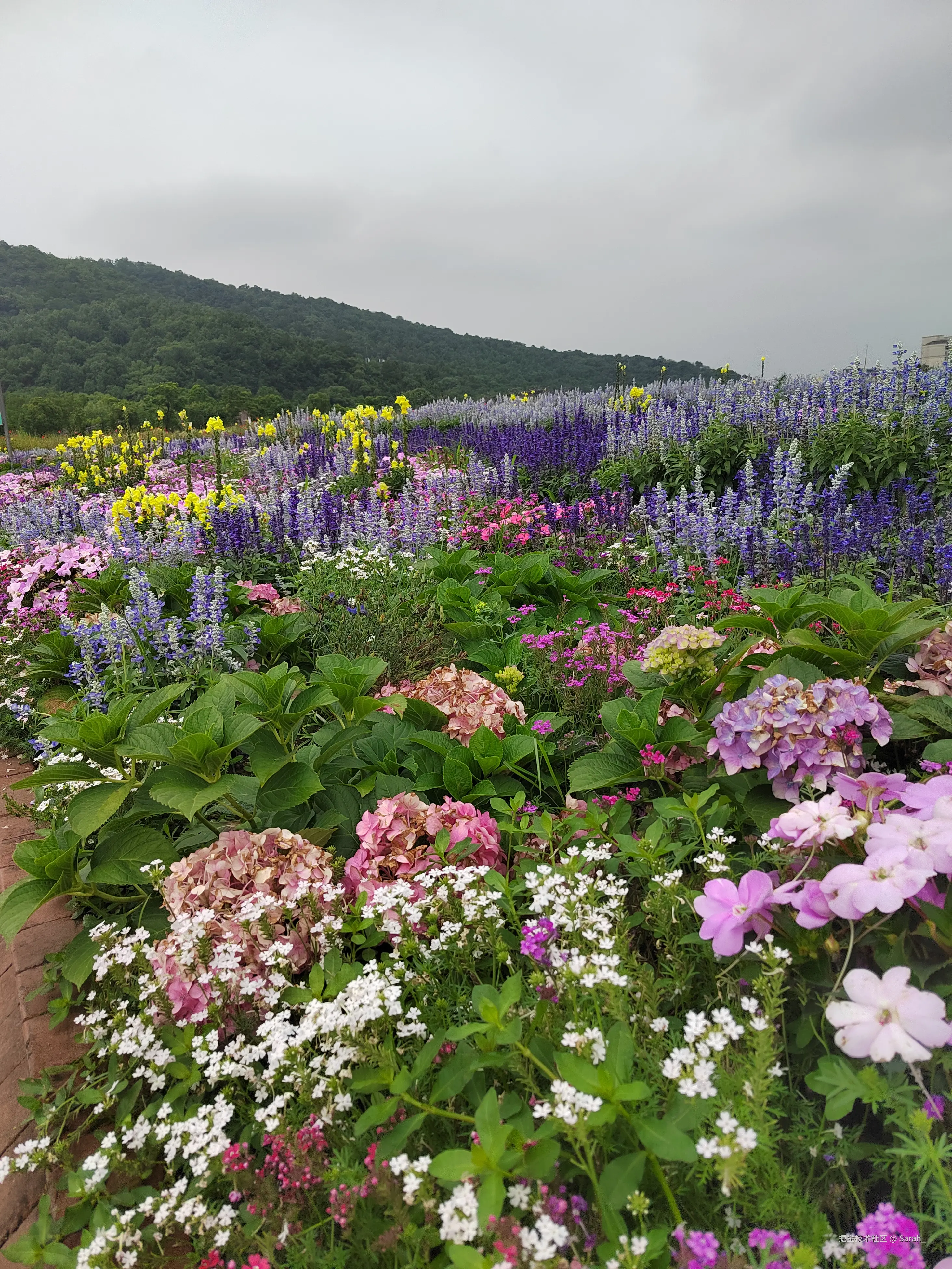 Sarah_于2025-05-28 08:33发布的图片