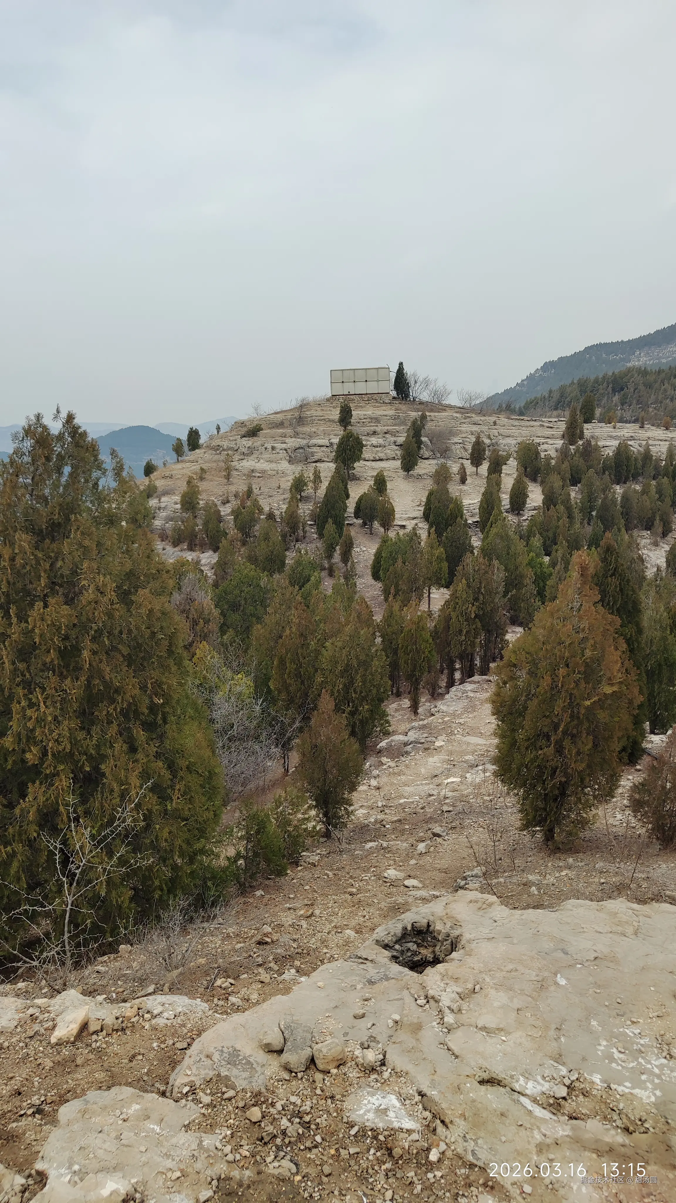 甜汤圆于2026-03-16 13:23发布的图片