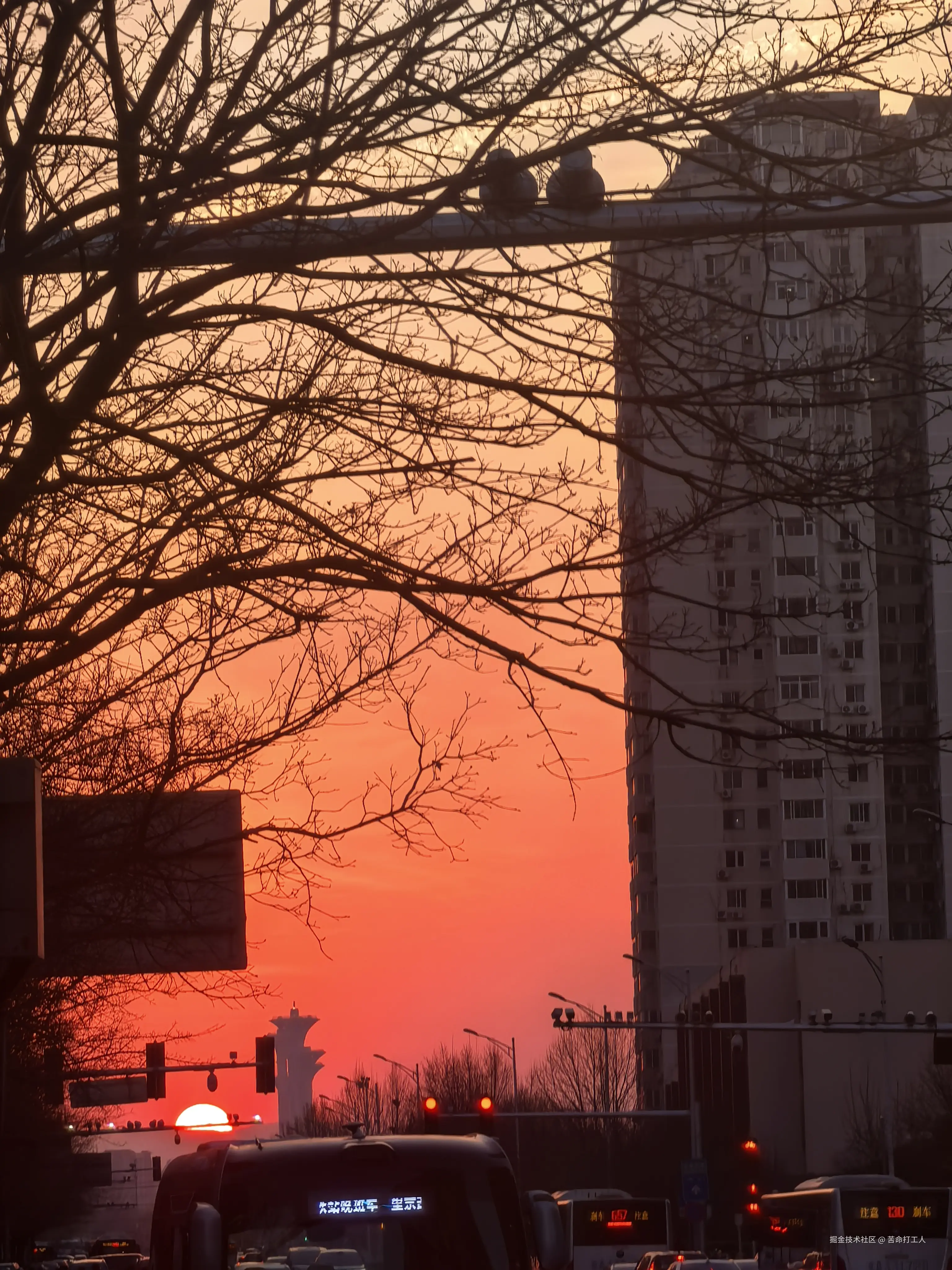 苦命打工人于2026-03-20 11:22发布的图片