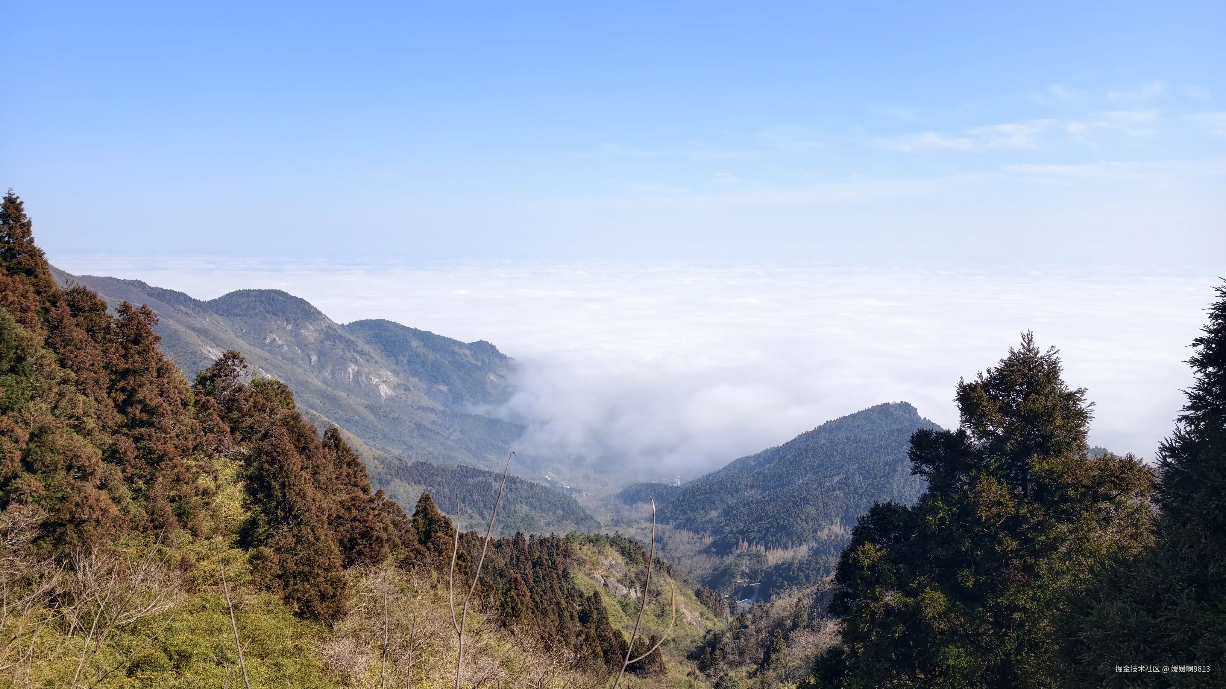 媛媛啊9813于2026-02-21 01:58发布的图片