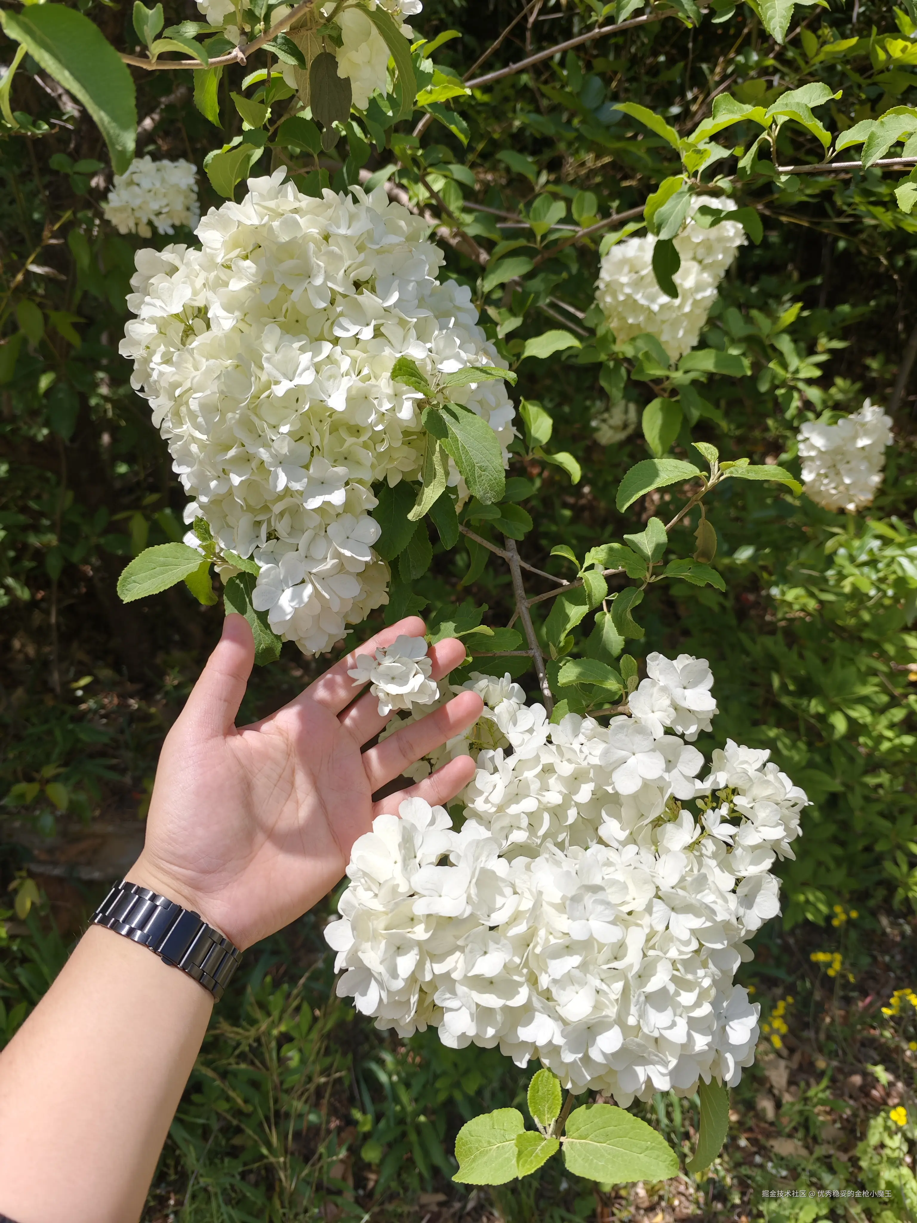 优秀稳妥的金枪小魔王于2025-04-15 13:28发布的图片