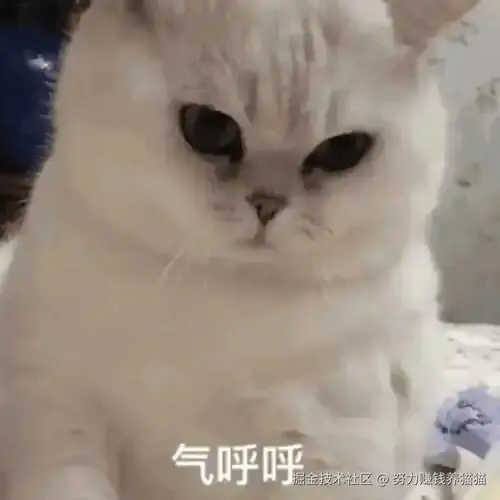努力赚钱养猫猫于2024-11-13 11:27发布的图片