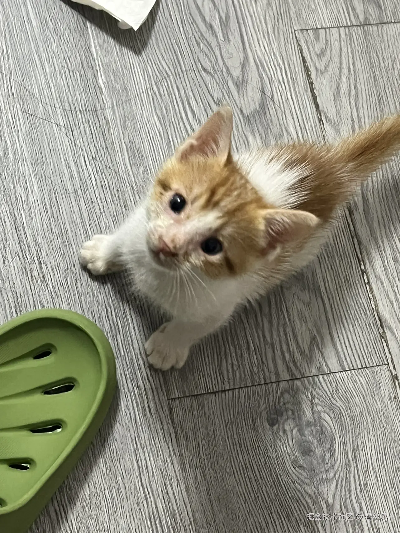 春丝尽于2026-08-27 07:22发布的图片
