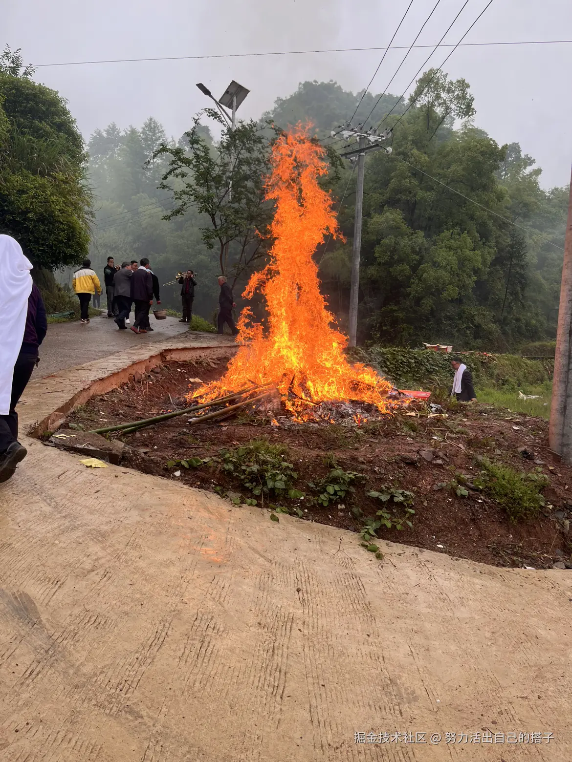 努力活出自己的搭子于2025-04-28 07:35发布的图片