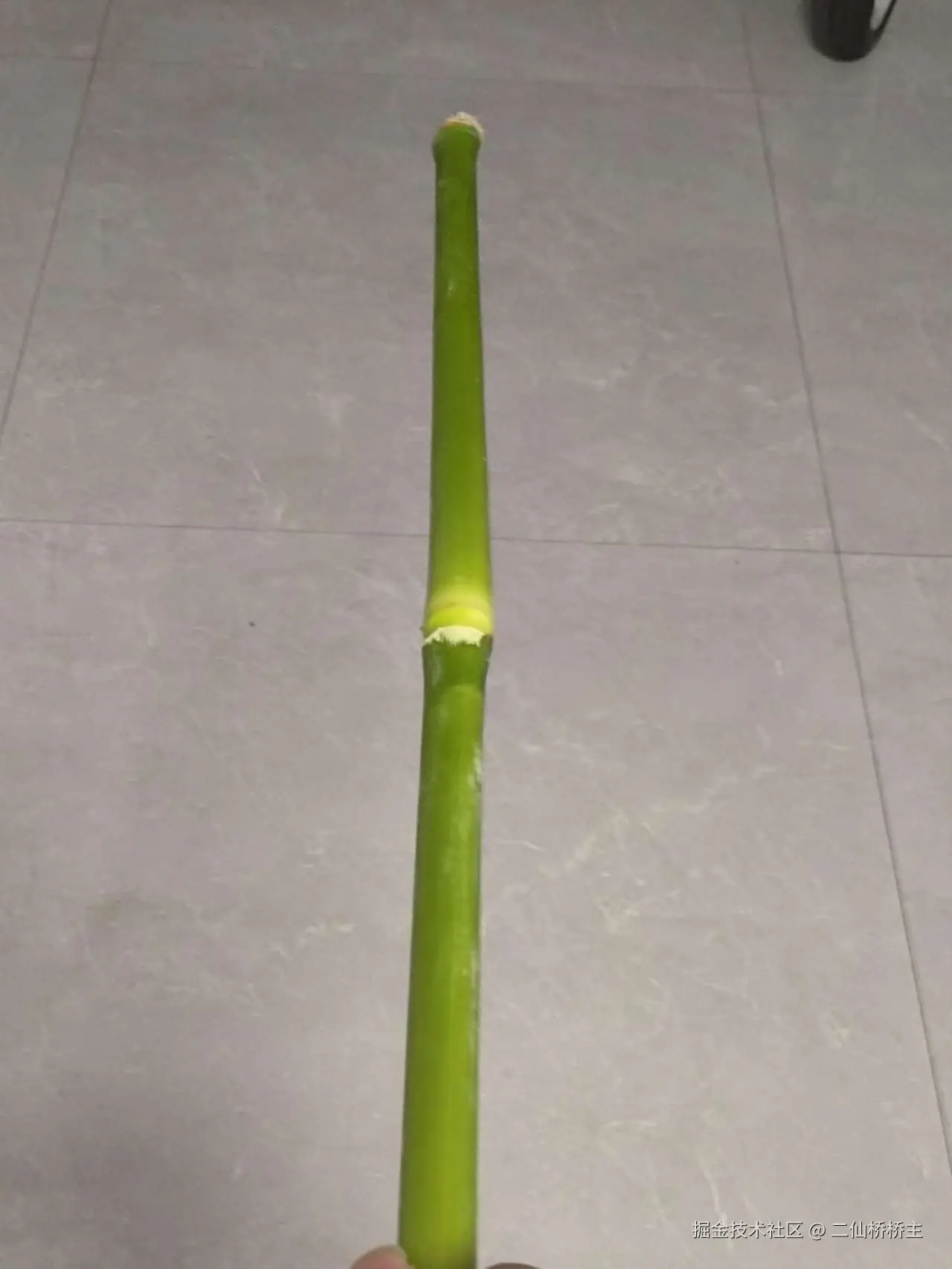 二仙桥桥主于2025-08-14 09:04发布的图片