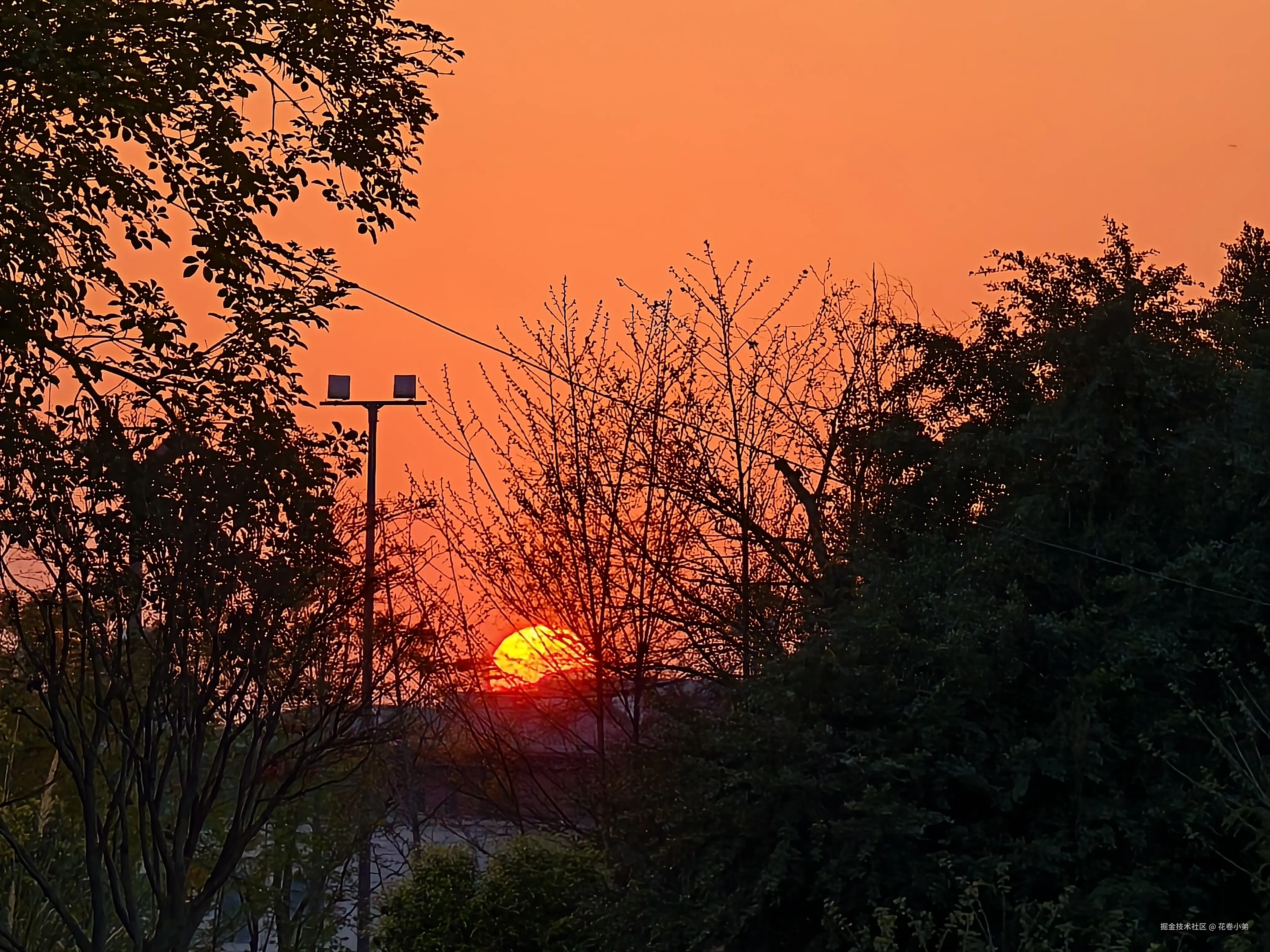 花卷小弟于2025-03-26 10:07发布的图片