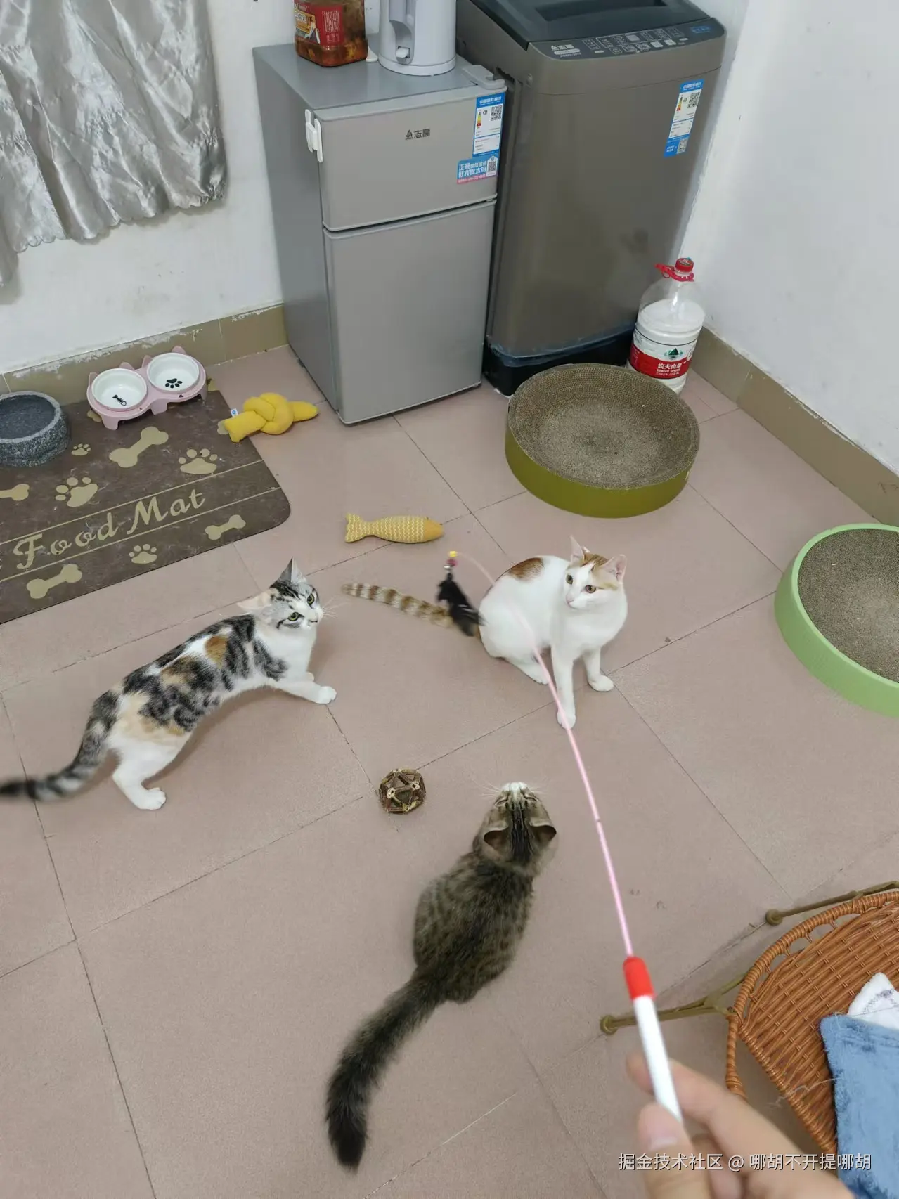 哪胡不开提哪胡于2024-11-11 11:04发布的图片