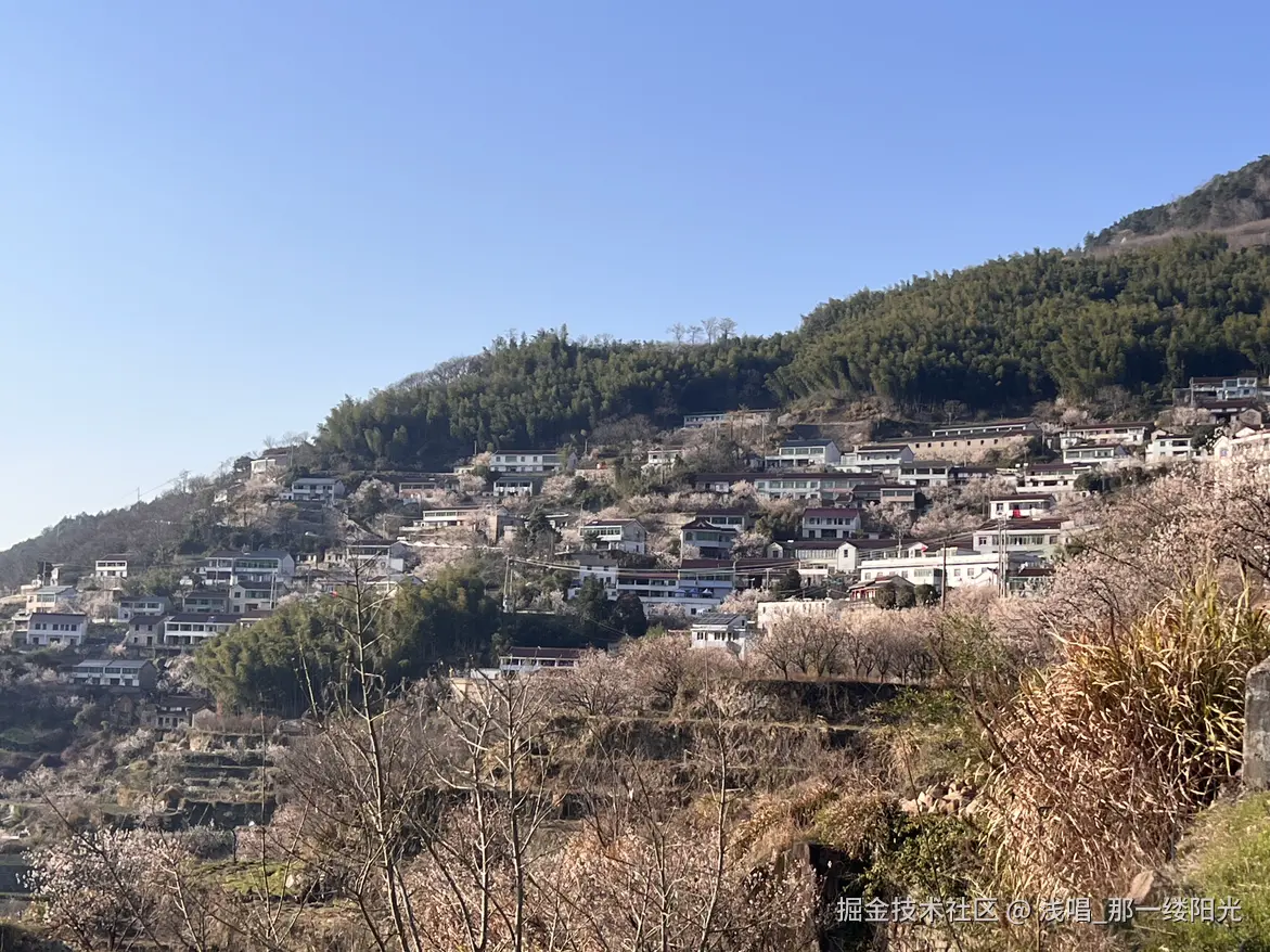 浅唱_那一缕阳光于2026-04-01 10:01发布的图片