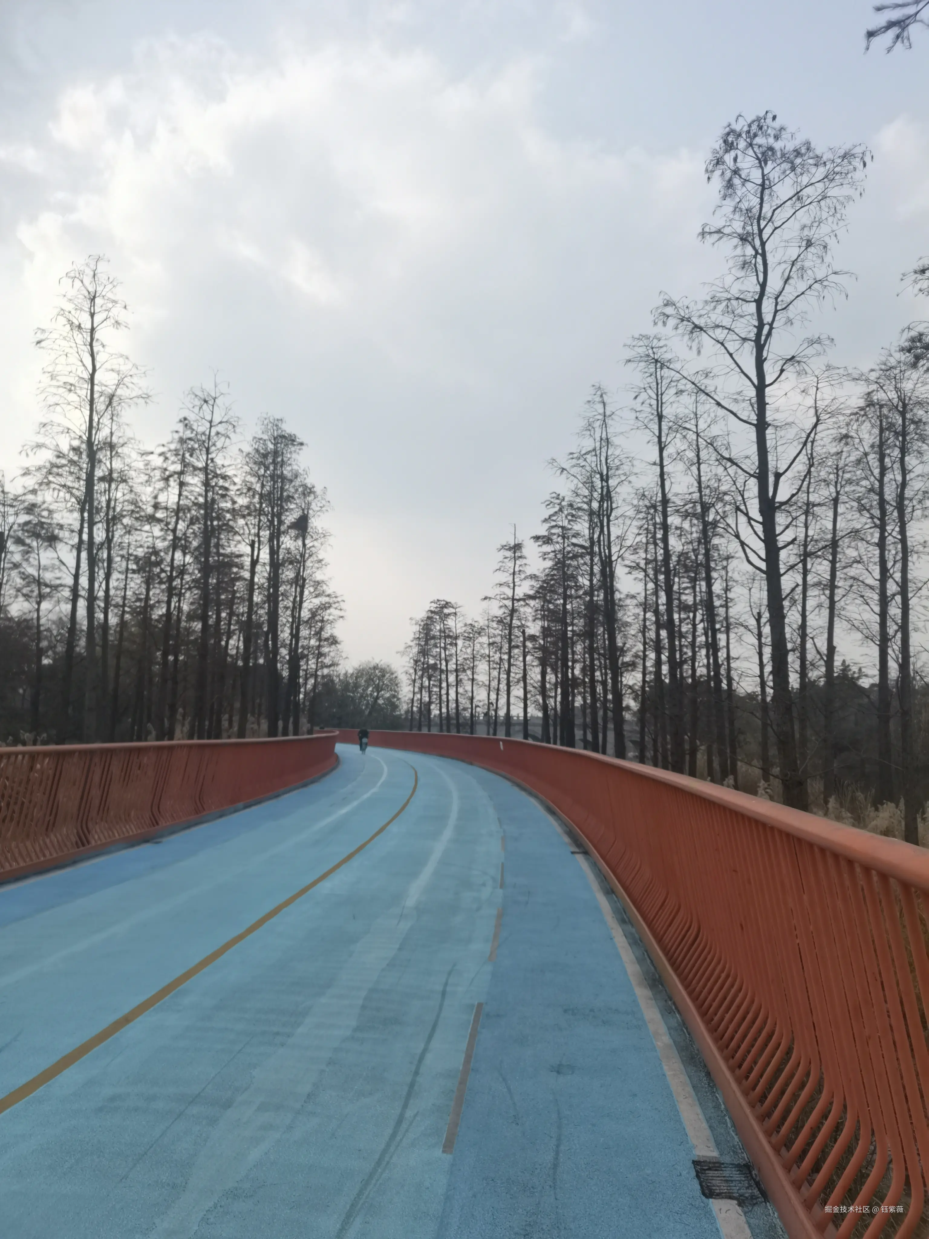 钰紫薇于2025-11-24 09:27发布的图片