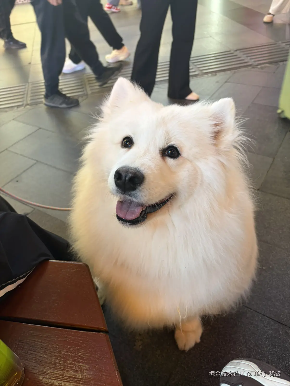 单纯_稀饭于2026-03-05 10:51发布的图片